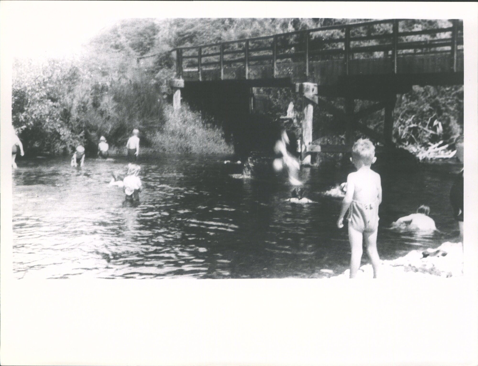 Ripple Pool in Silverstream below Durham Rly bridge