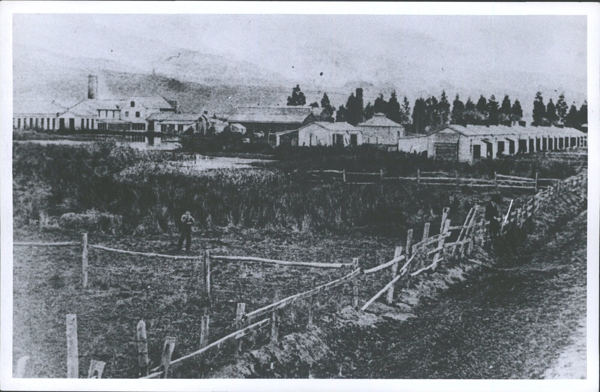 Mosgiel Woollen Mill early 1870s shaving cottages for mill workers on the right