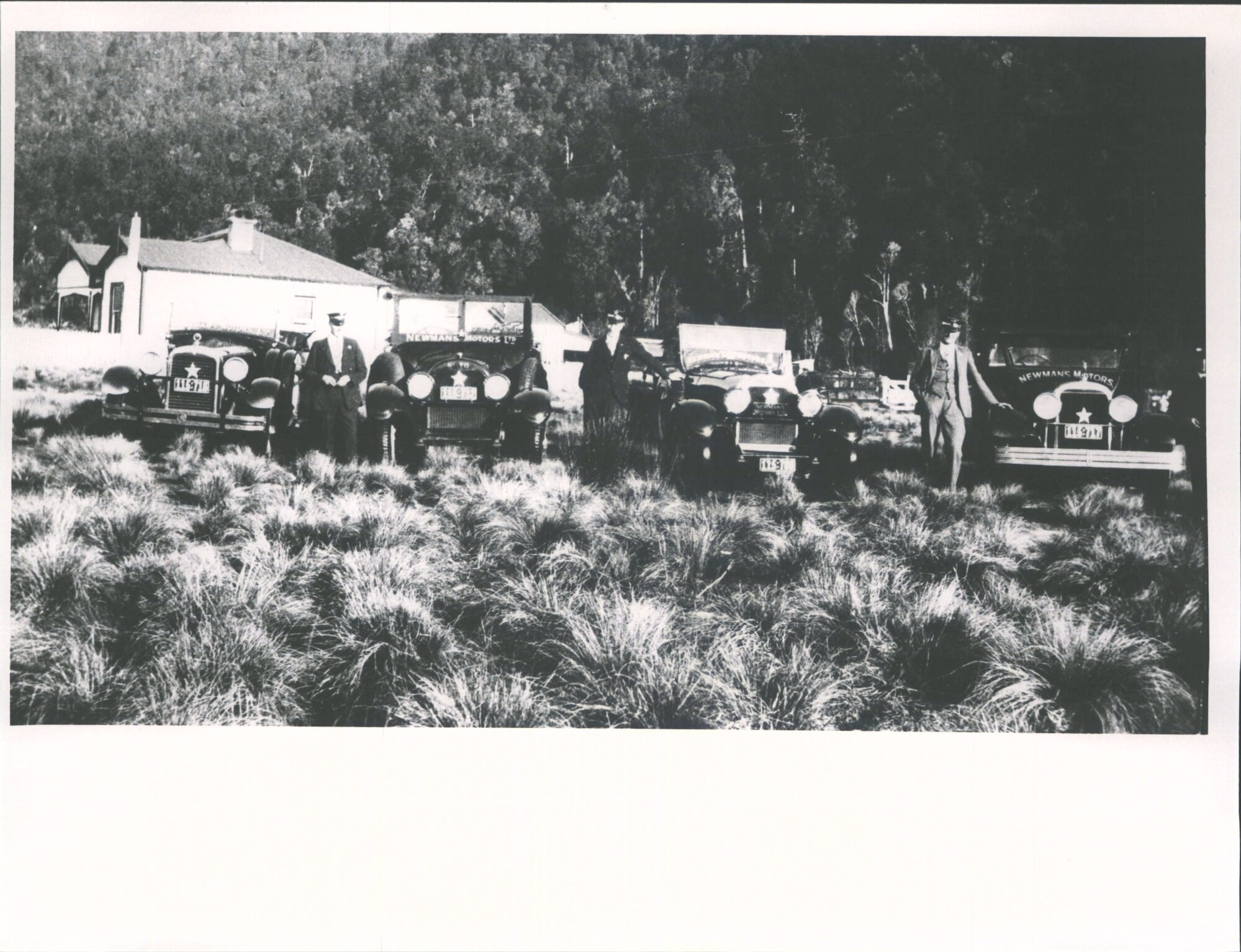 Newman's buses at Franz Josef