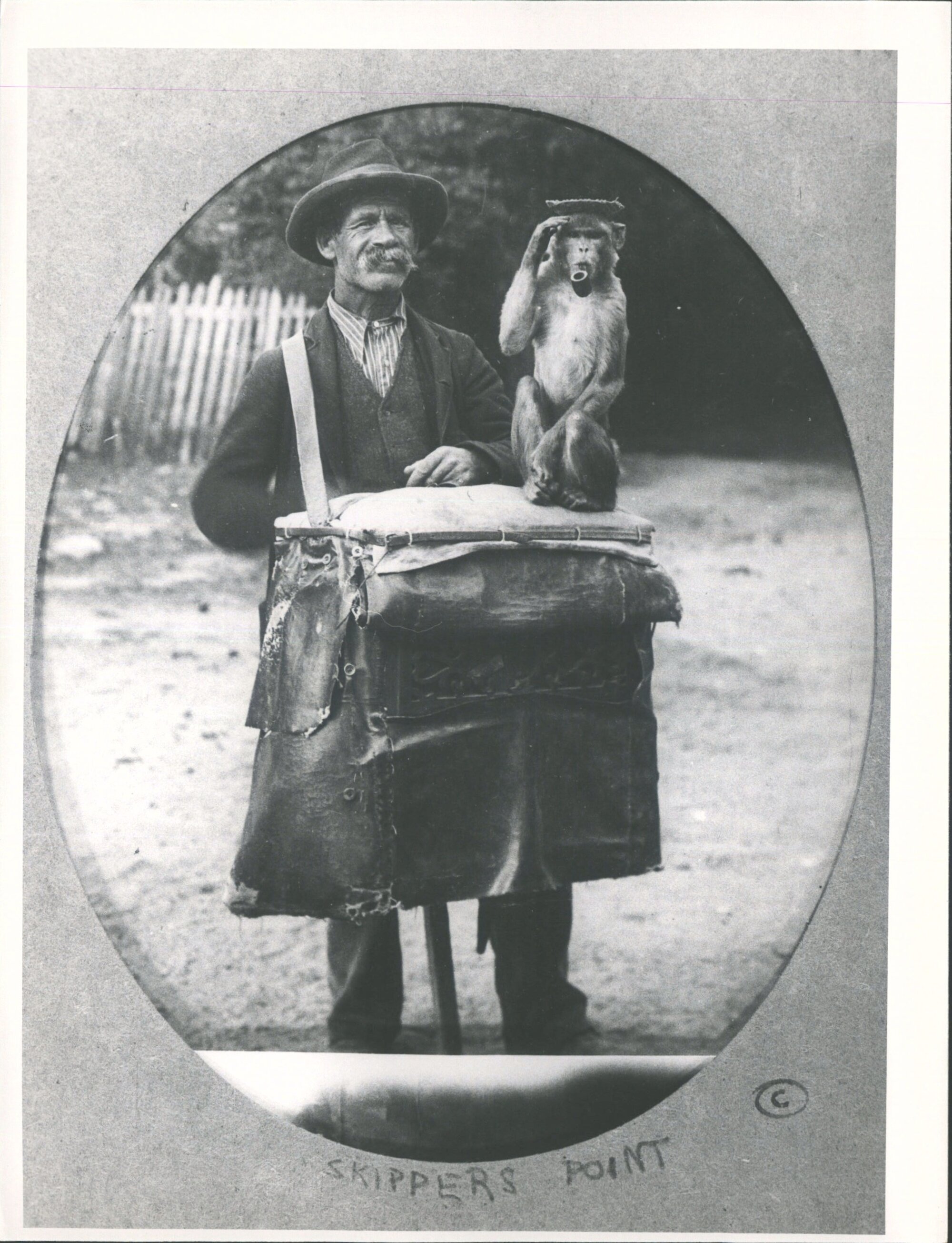 Organ Grinder, Skippers