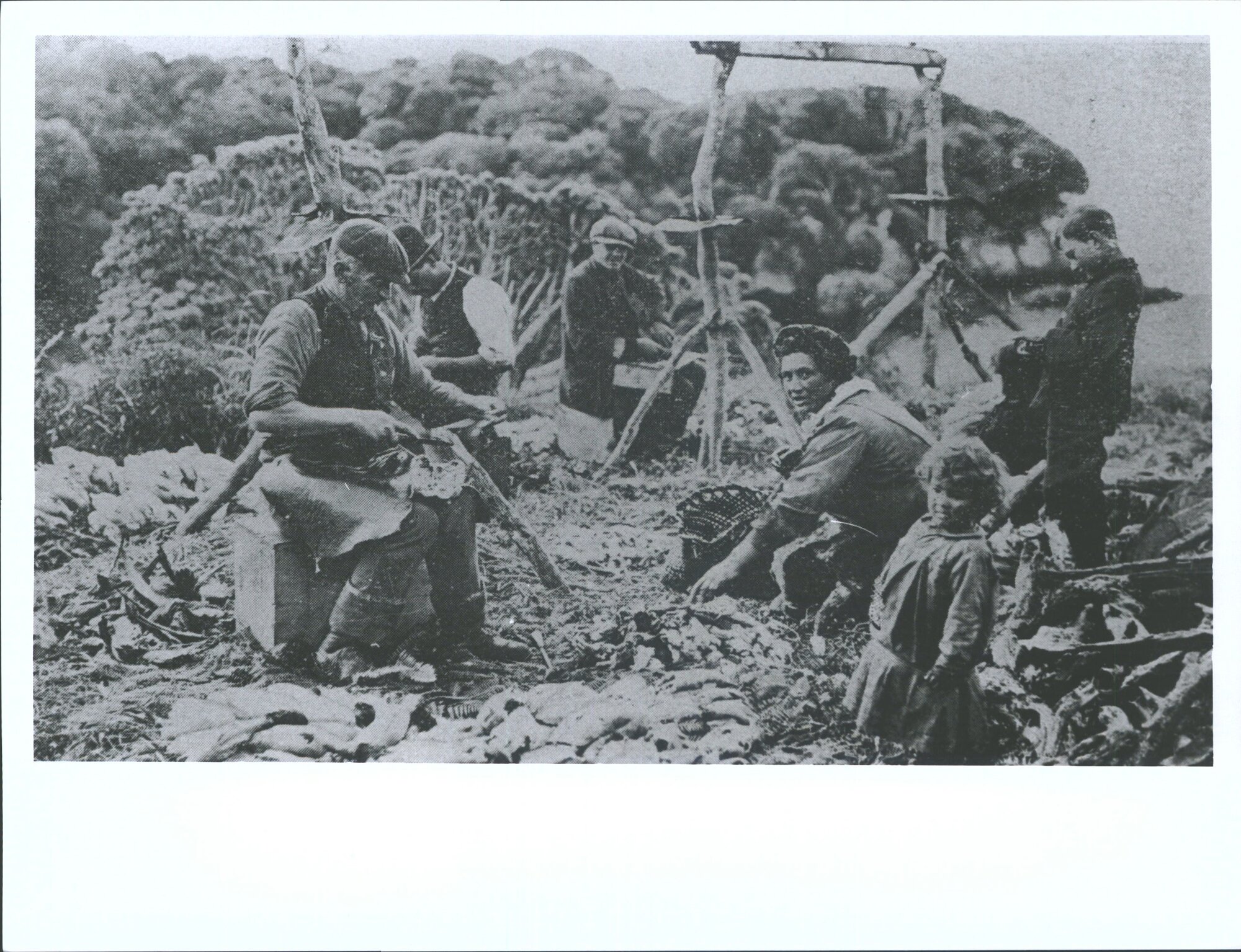 The process of cutting up the birds'