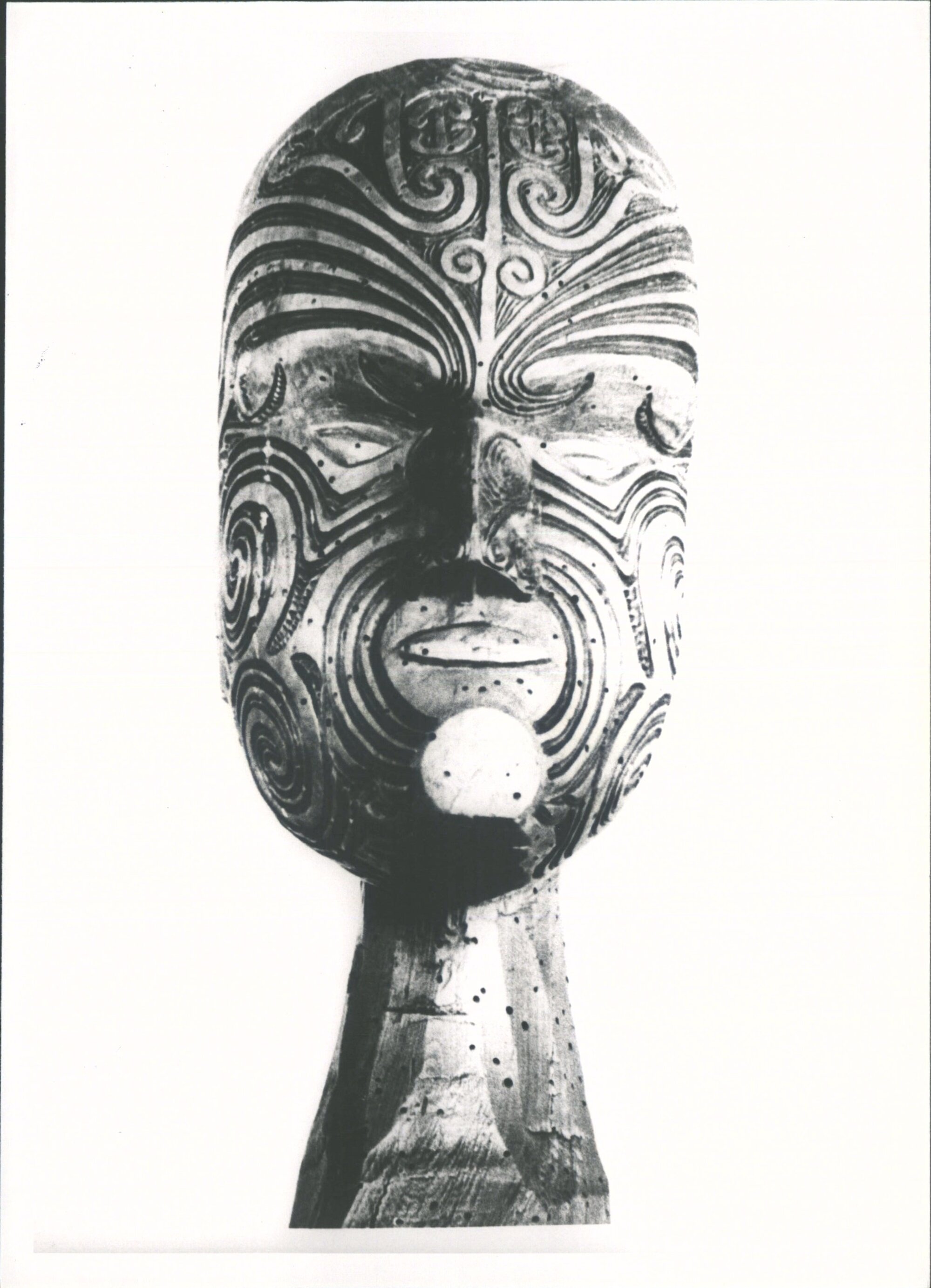 Now in Auckland Institute &amp; Museum 1972