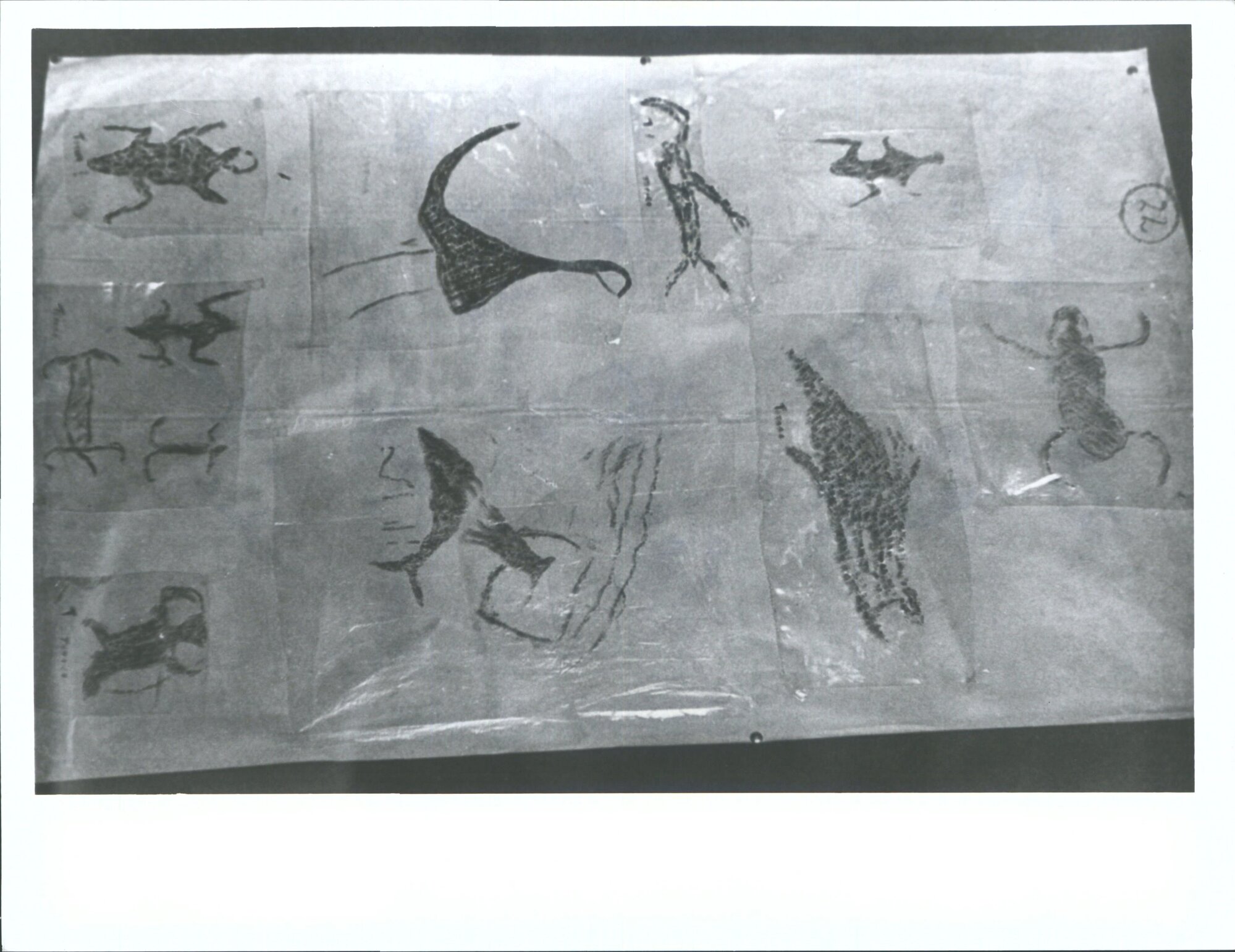 "Totara District Typical assemblage of art forms"