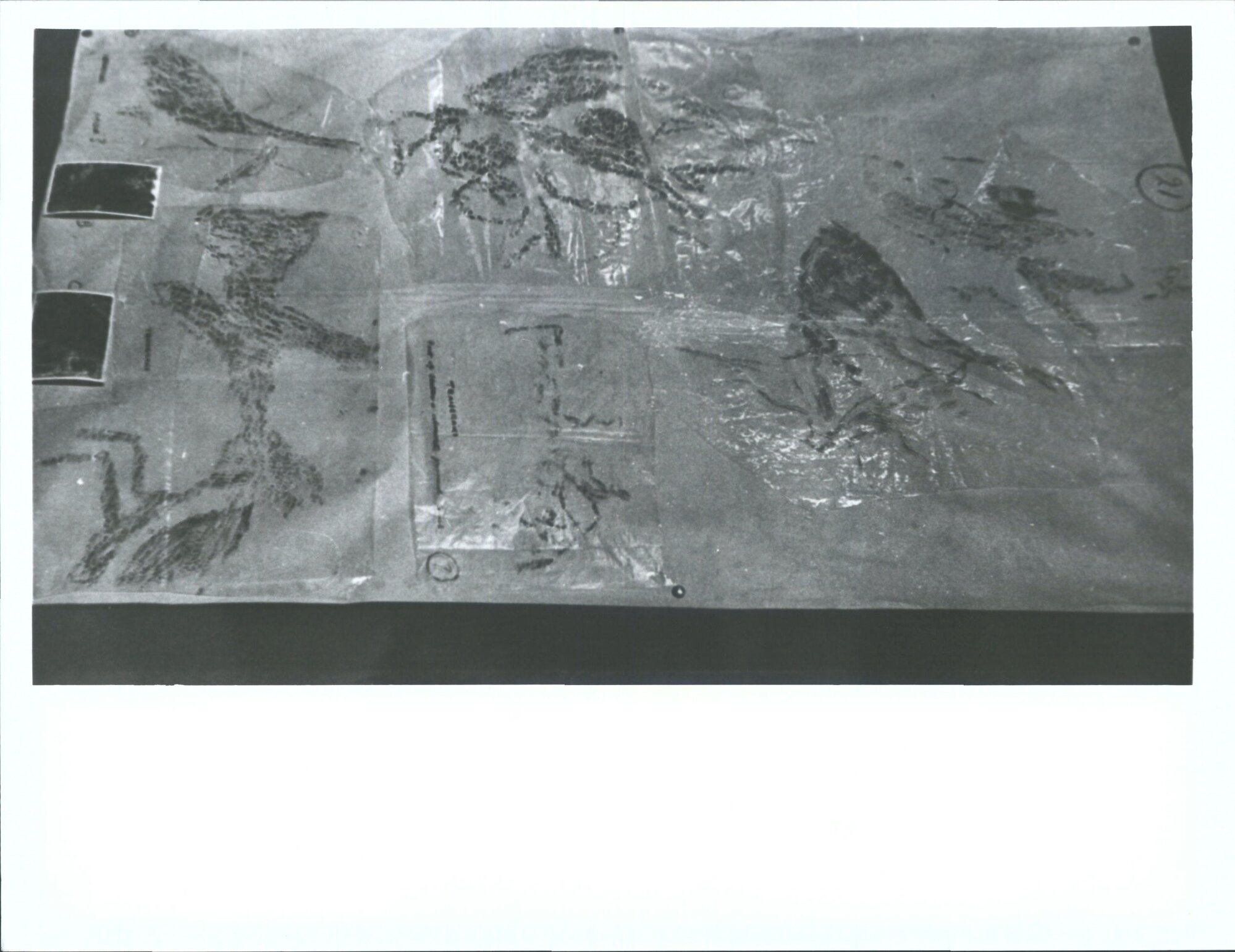 "Te Ana Raki Sections Whitestone Oamaru Northern Otago"