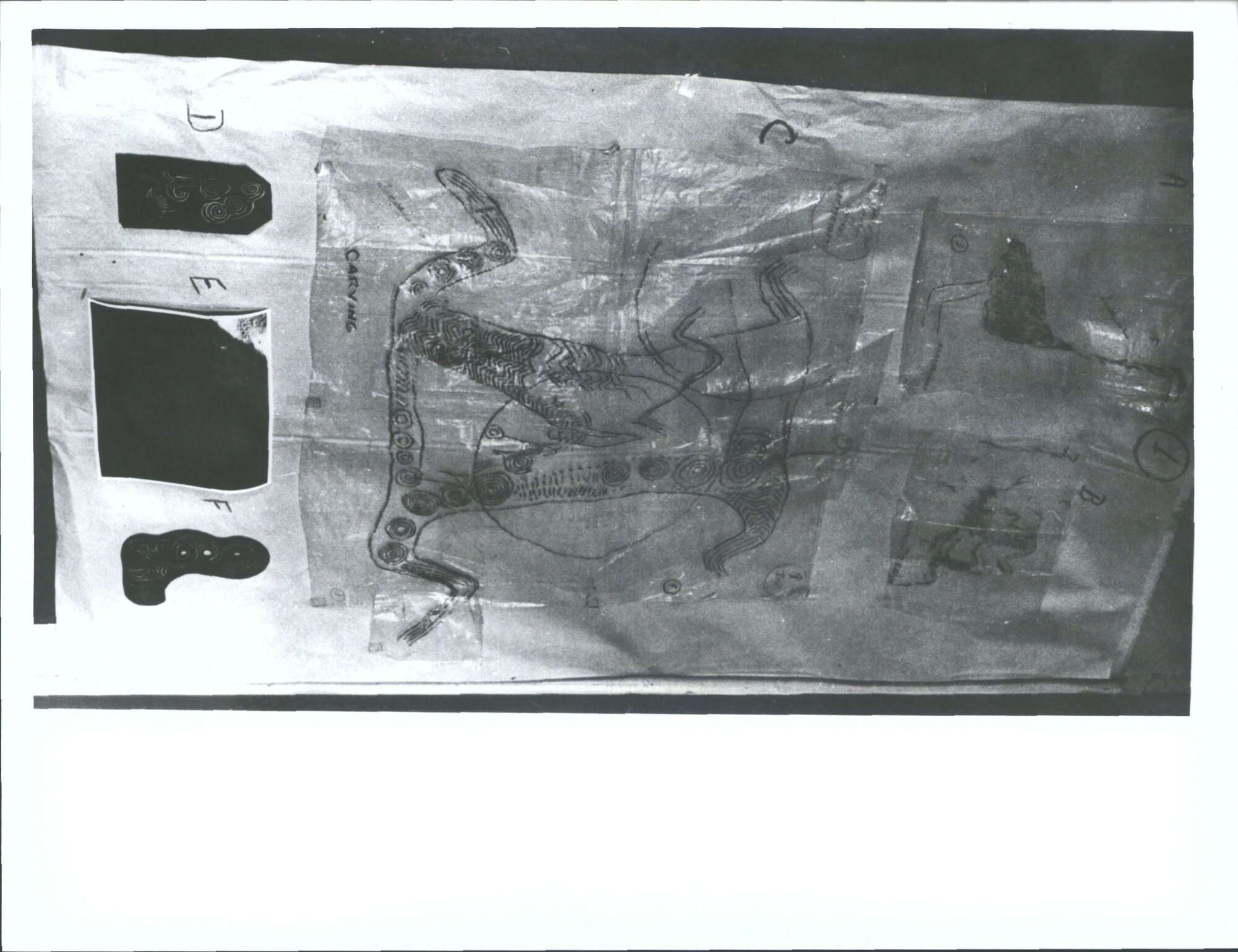 Sheet 1 "A. BirdB. HumanC. HumanD. Incised curvilinear &amp; Spiral motifE. Photo of dog."