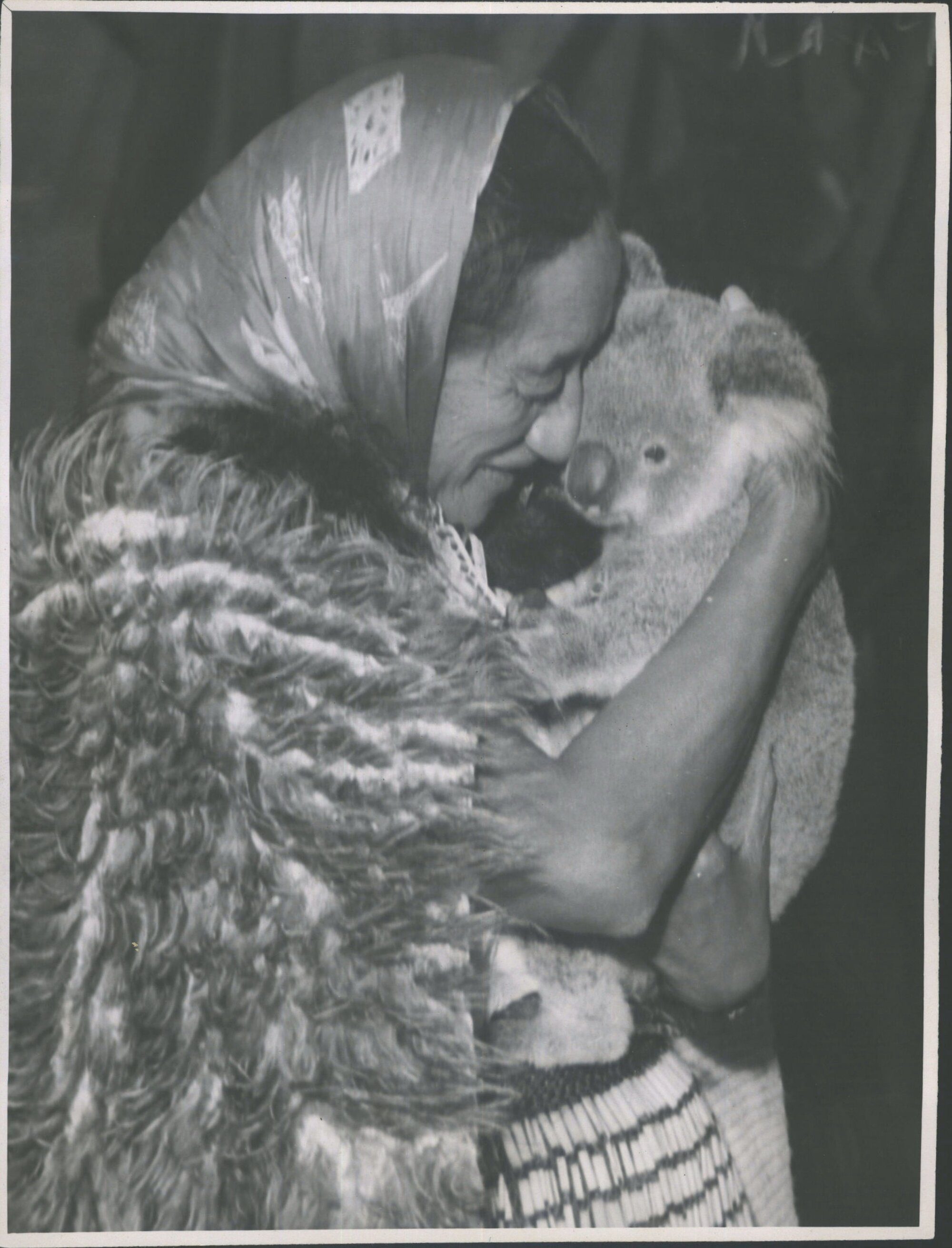 Maori guide with Koala bear