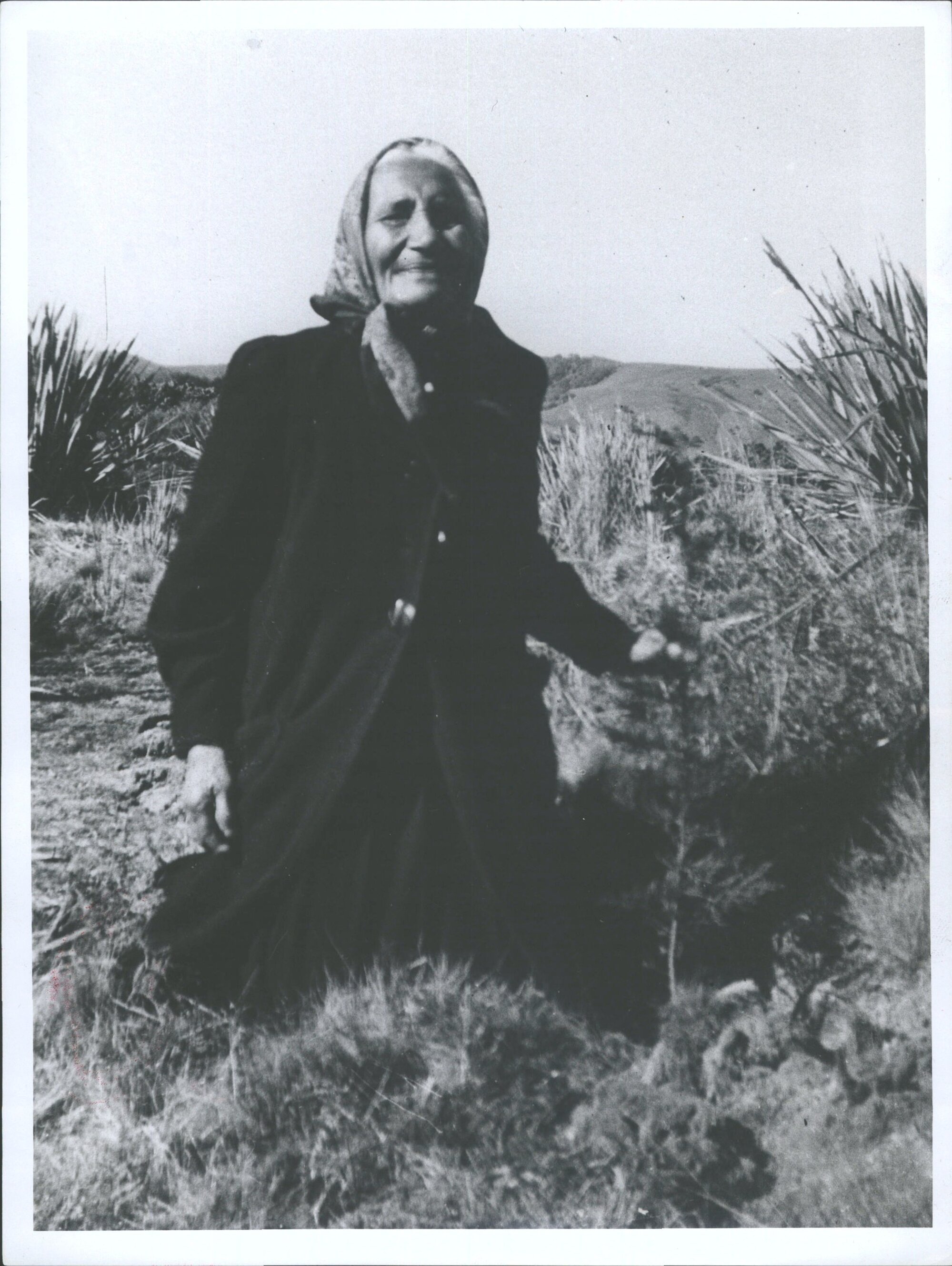 planting time at Aberlady cottage 1952