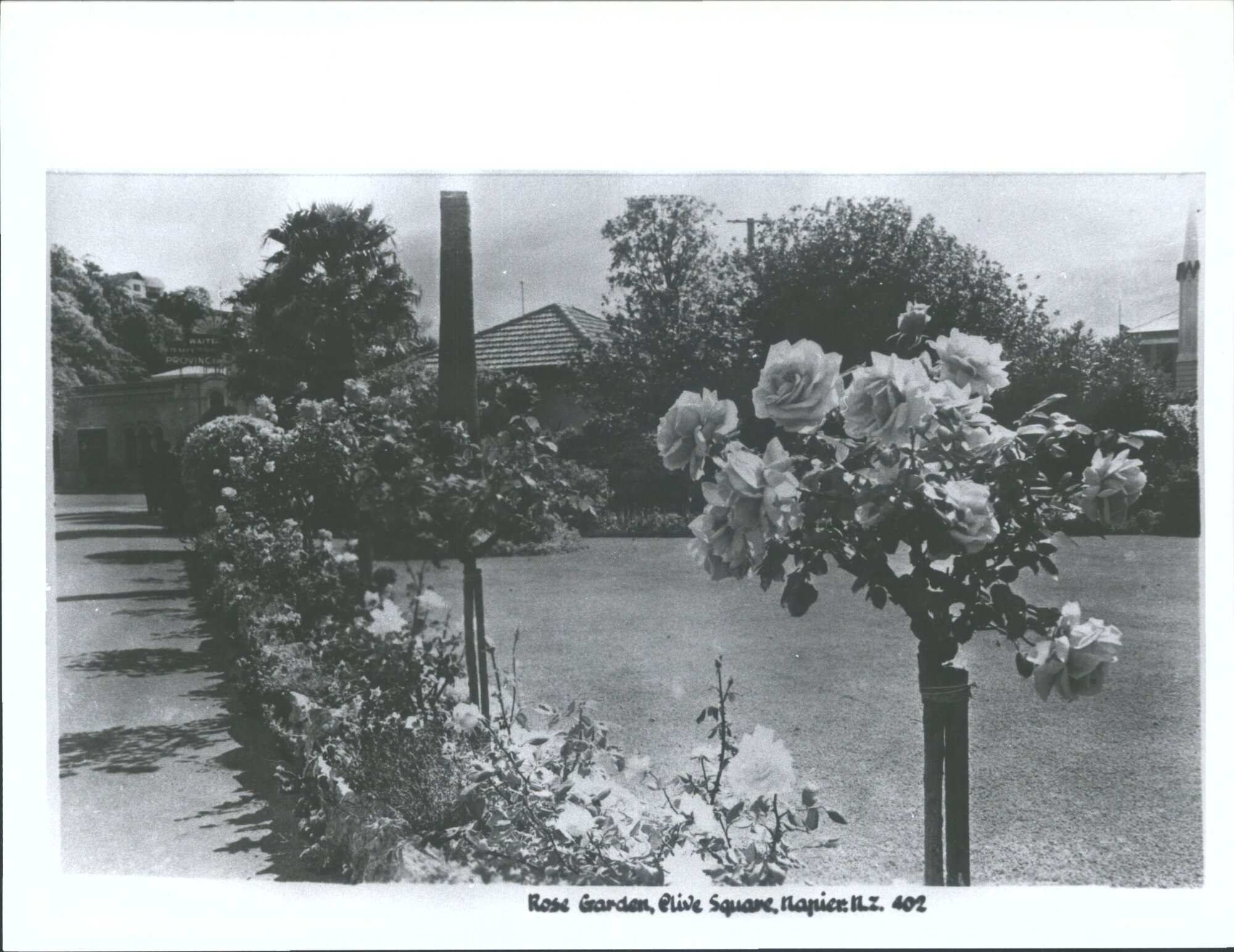 Rose Garden, Clive Square