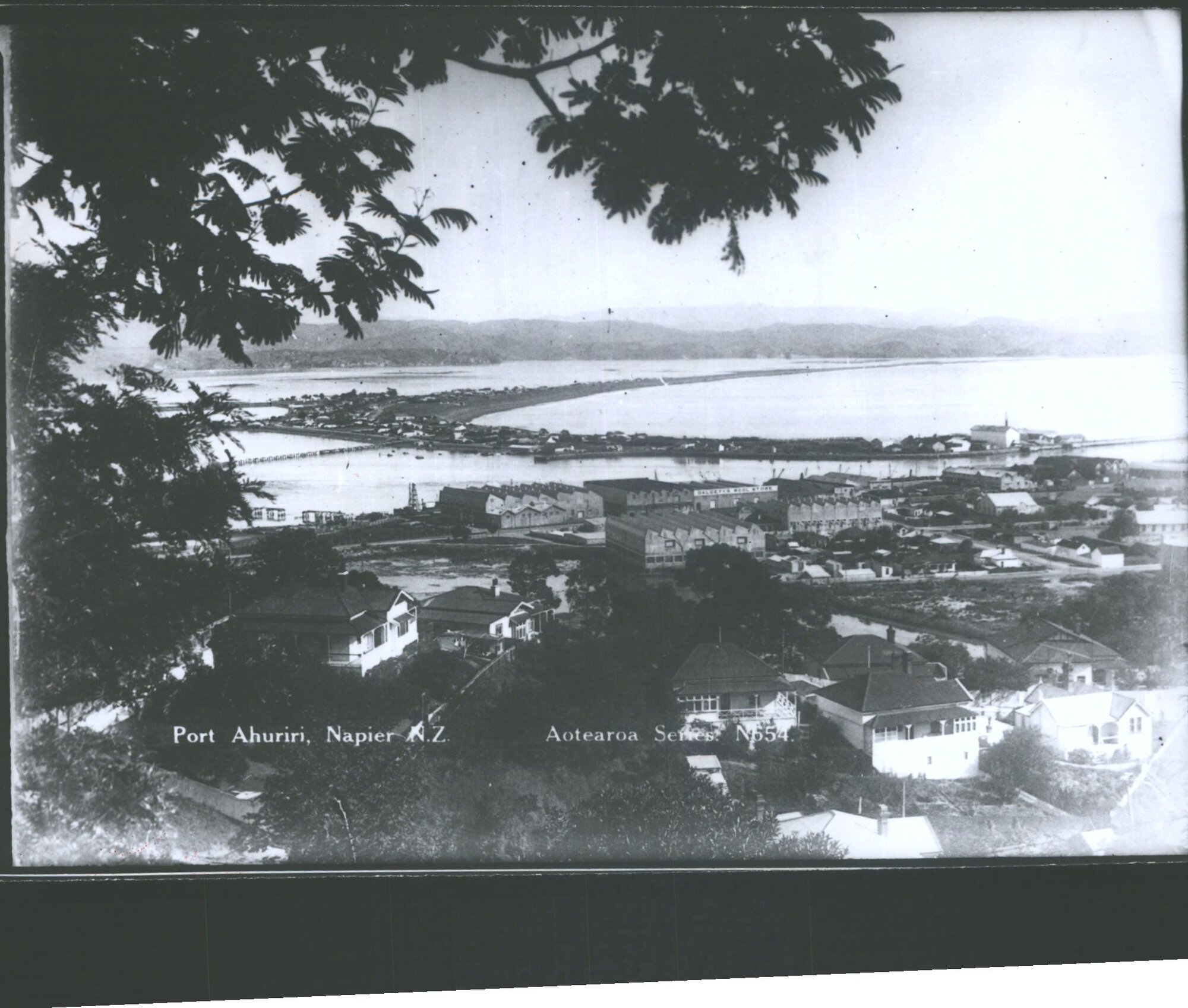 Port Ahuriri, Napier N.Z.