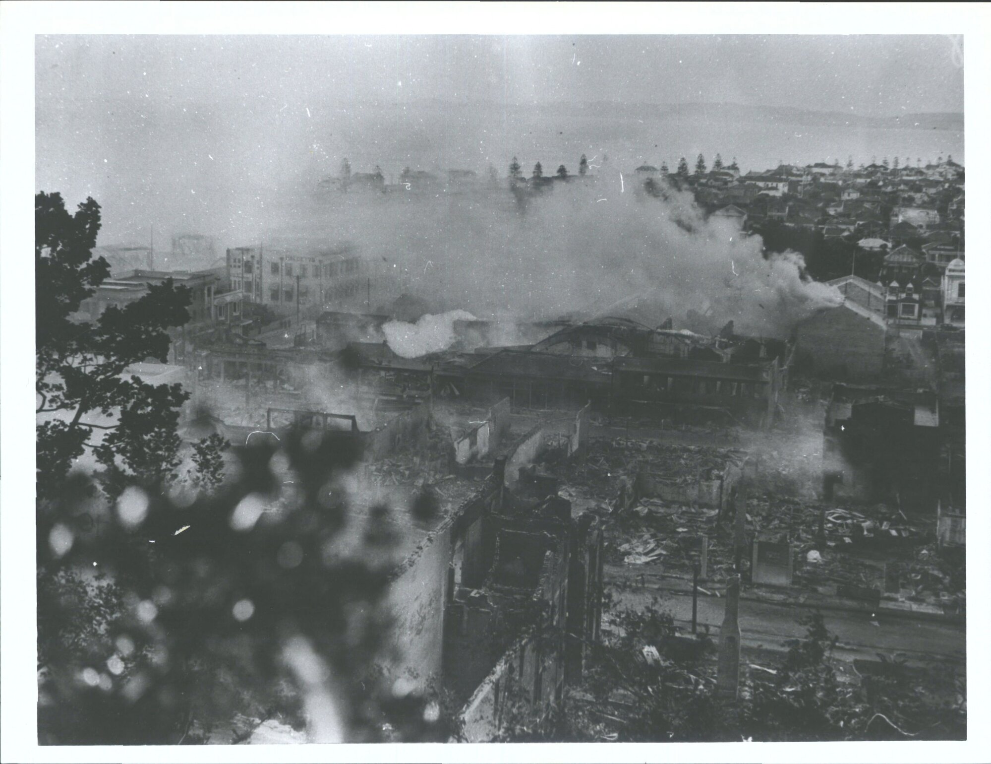 "View of Napier Business area"