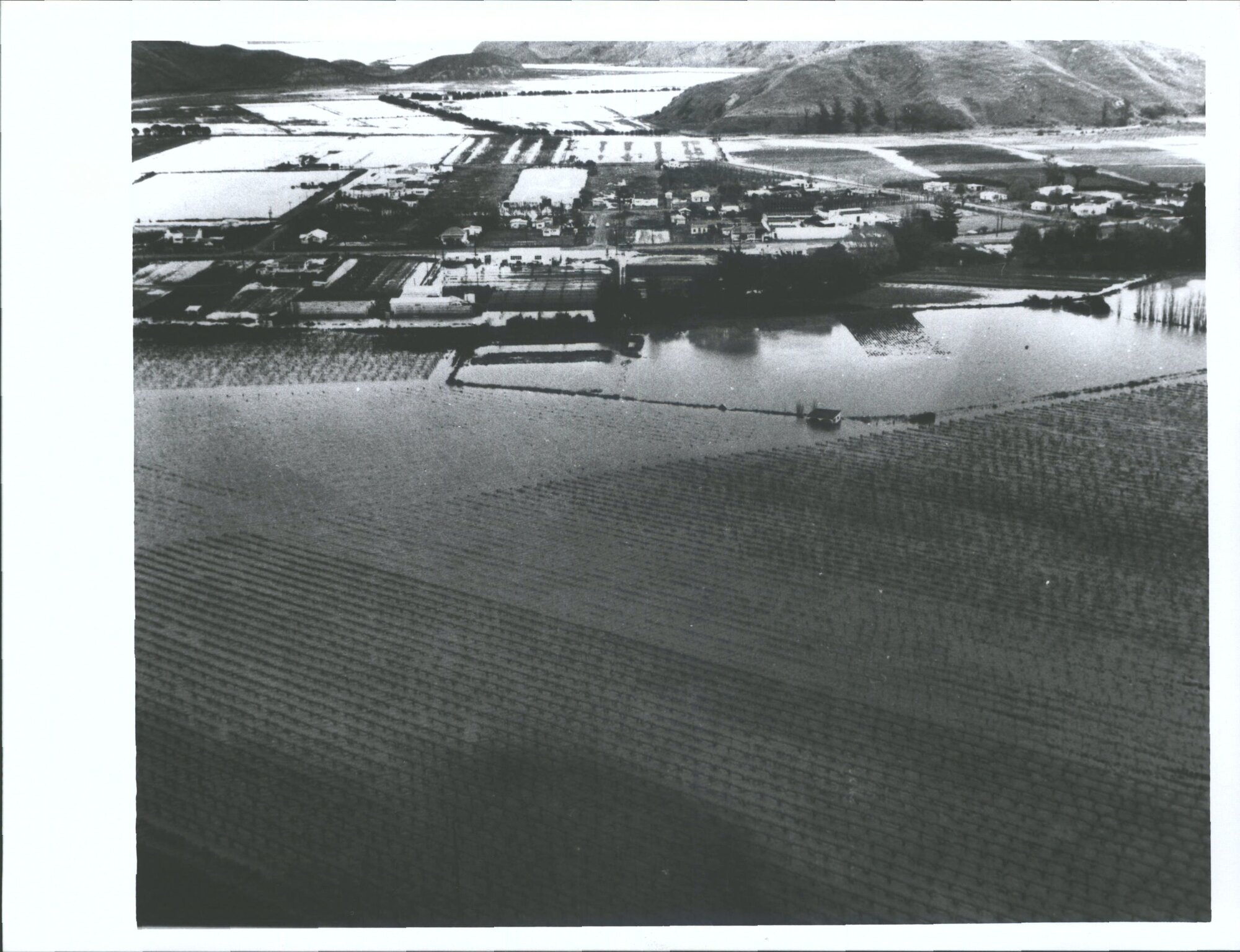 Floods, Bay View 1963 (11kms from Napier)