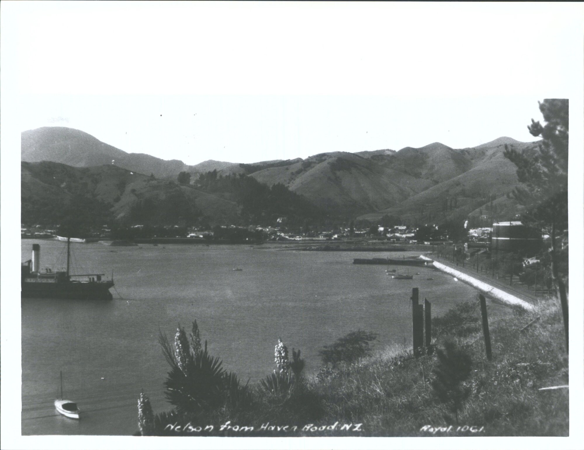 Nelson from Haven Road