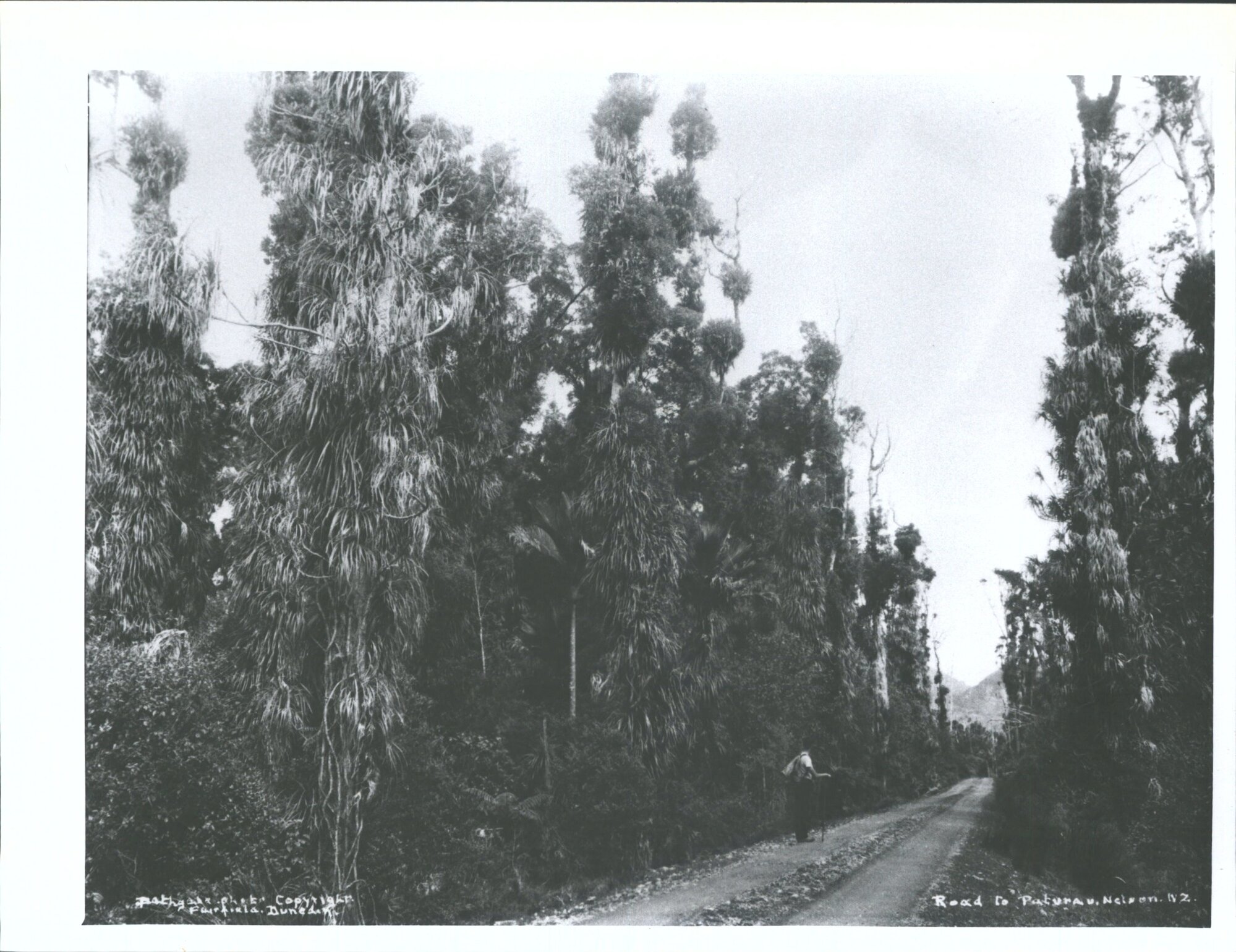 Road to Paturau, Golden Bay County ca 1930's