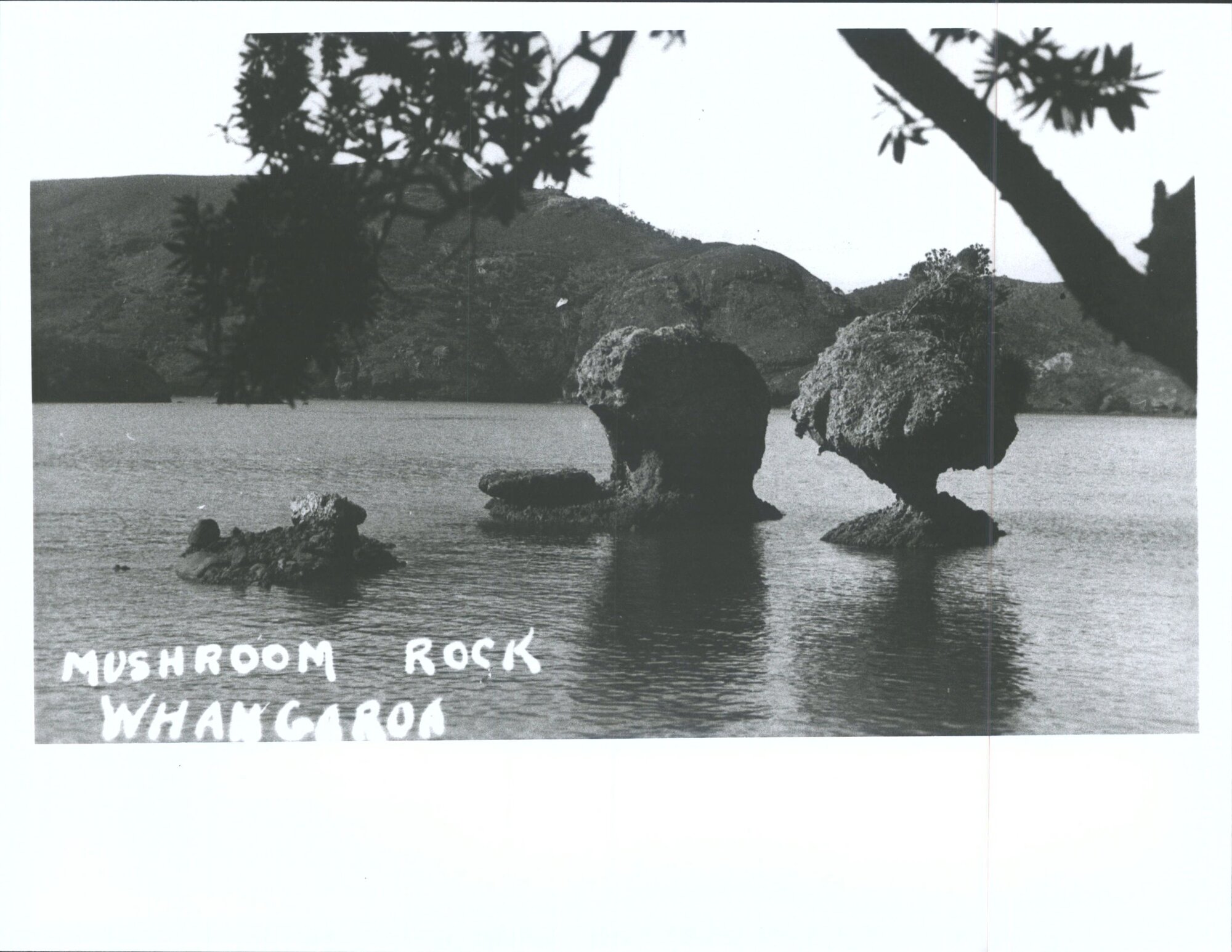 Mushroom Rock, Whangaroa