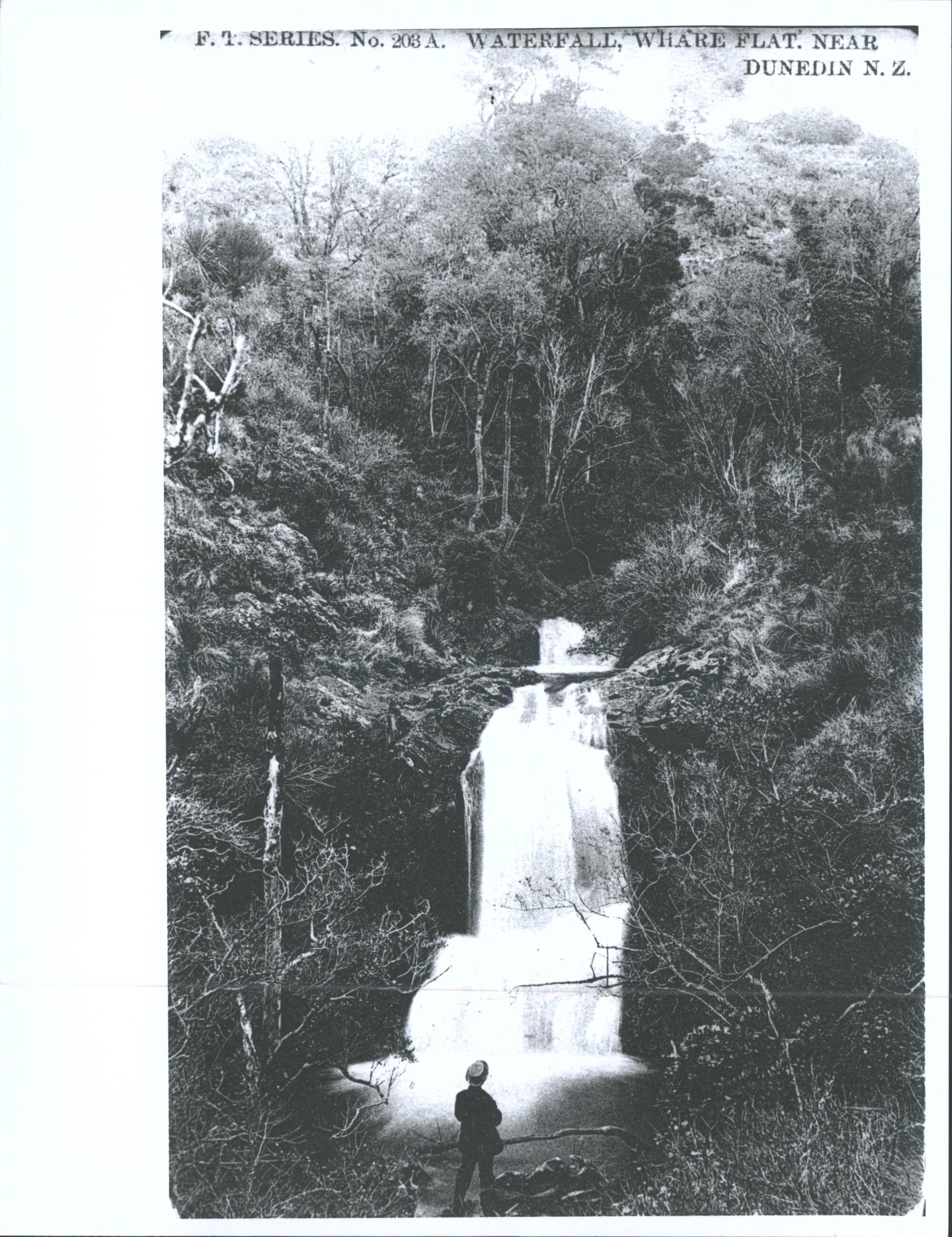 Waterfall, Whare Flat. Near Dunedin, N.Z.