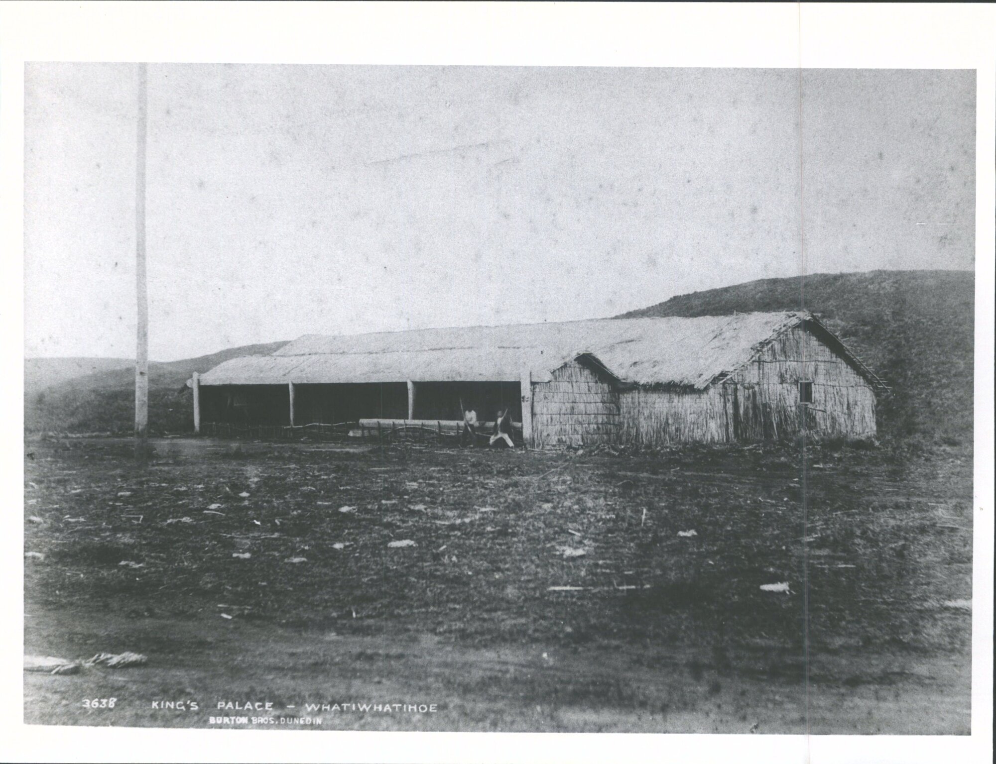 King's Palace - Whatiwhatihoe