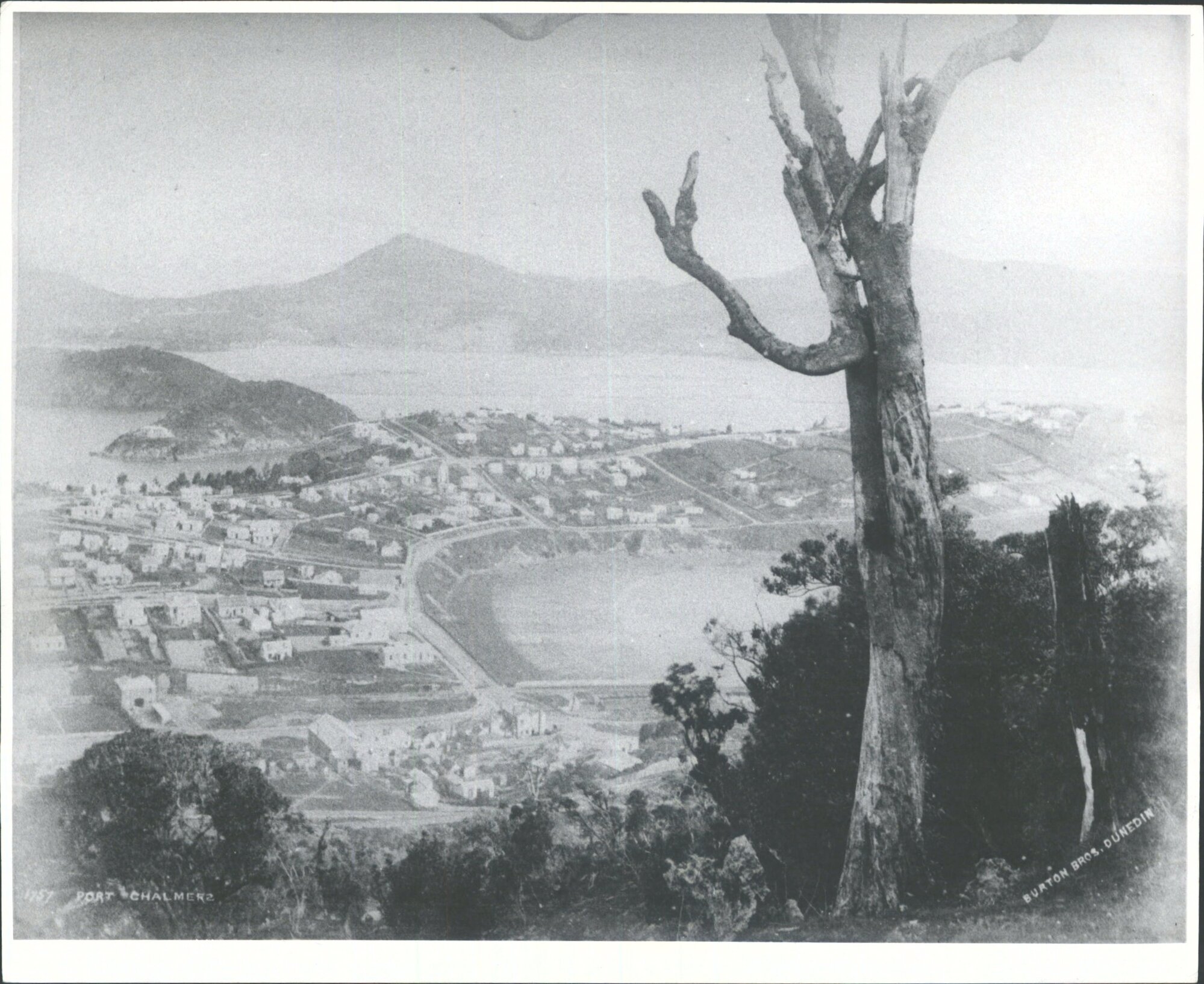 Port Chalmers from the Junction