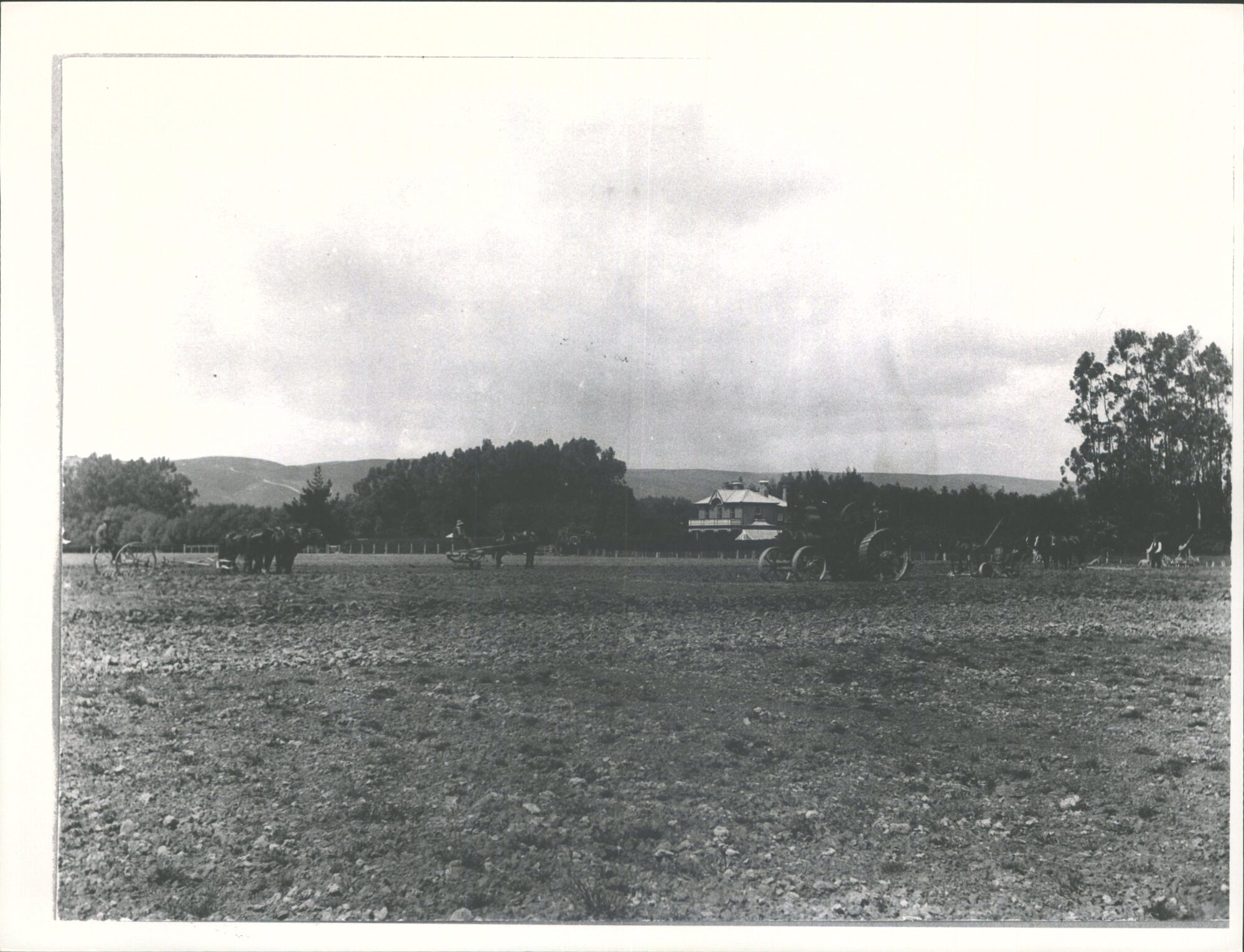 "Elm Grove" - Kirkland's Farm