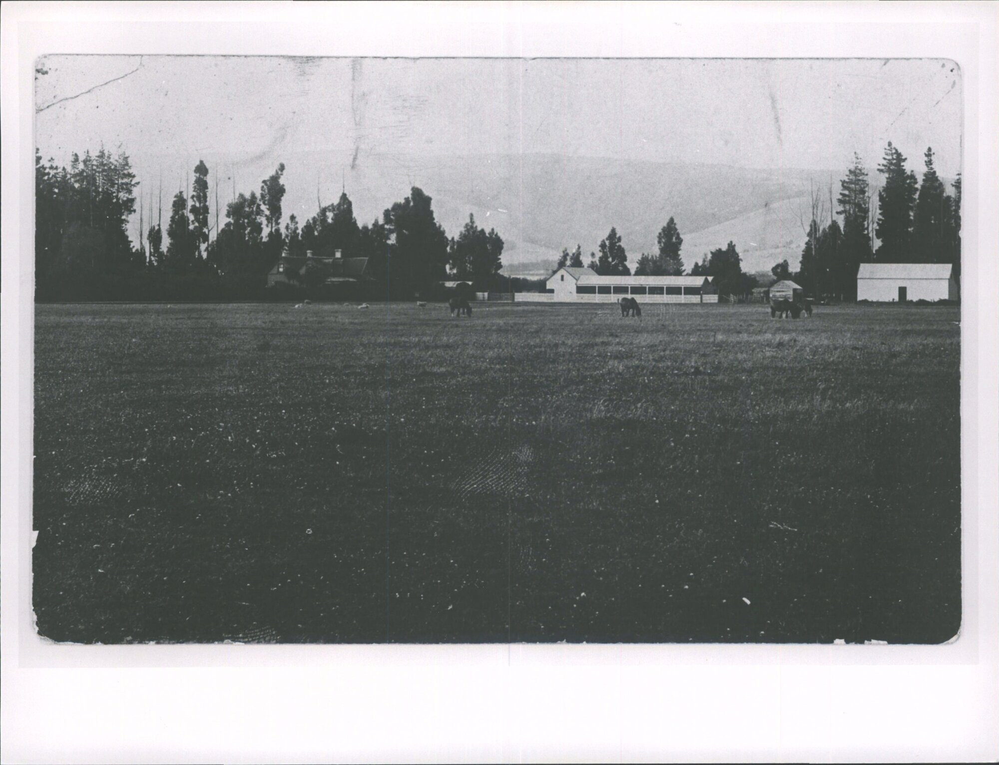 "Findlayston", North Taieri