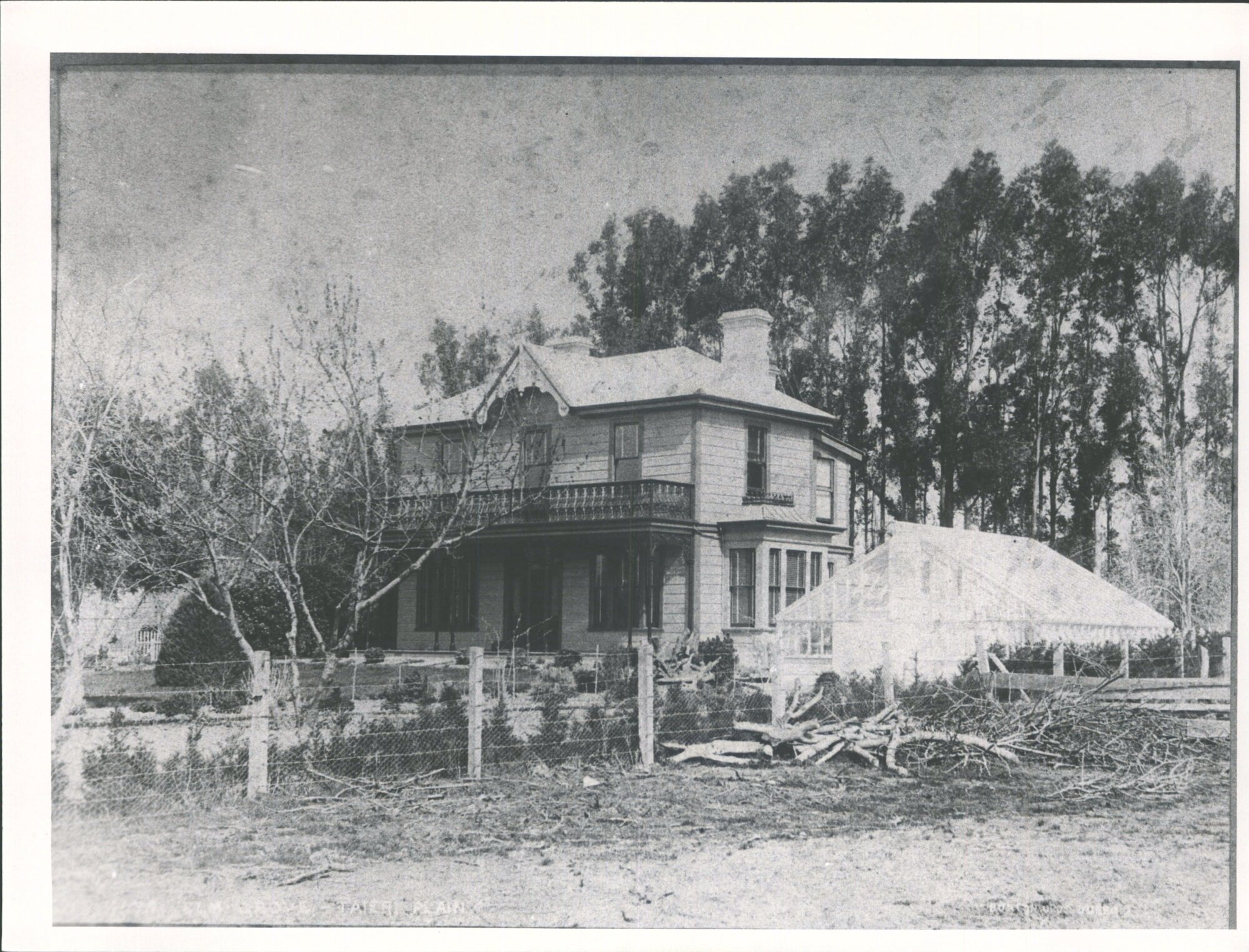 Elm Grove, Taieri Plain