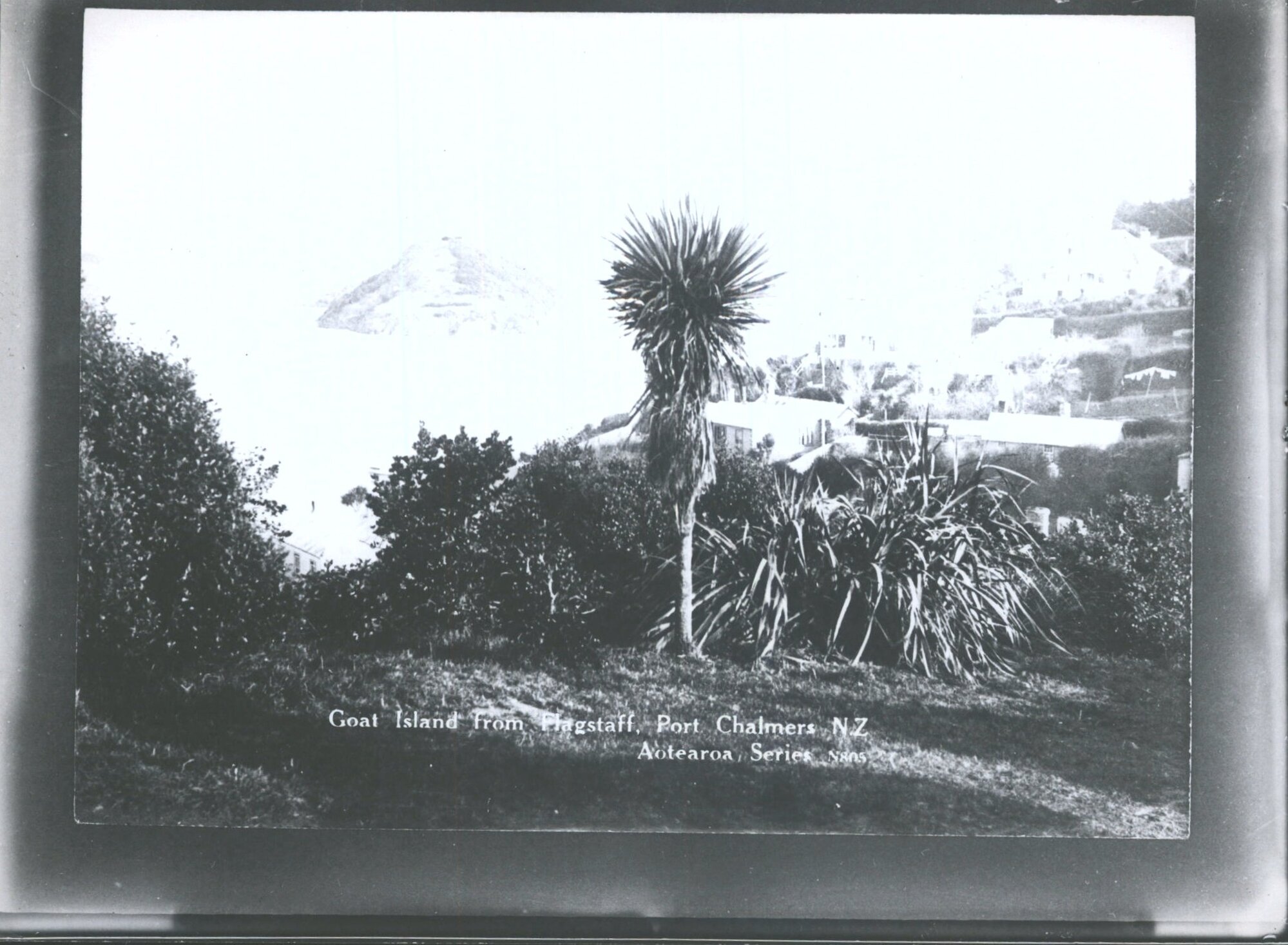 Goat Island from Flagstaff, Port Chalmers, N.Z.