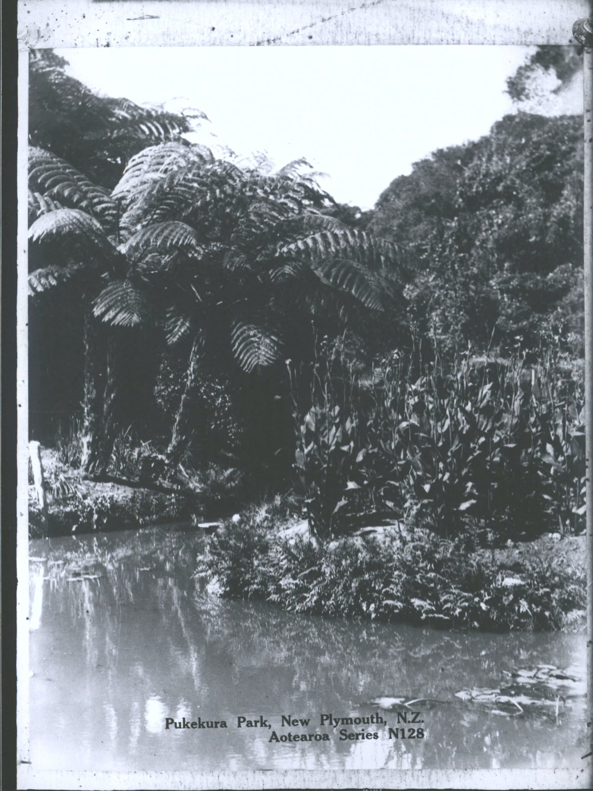 Pukehura Park, New Plymouth, N.Z.