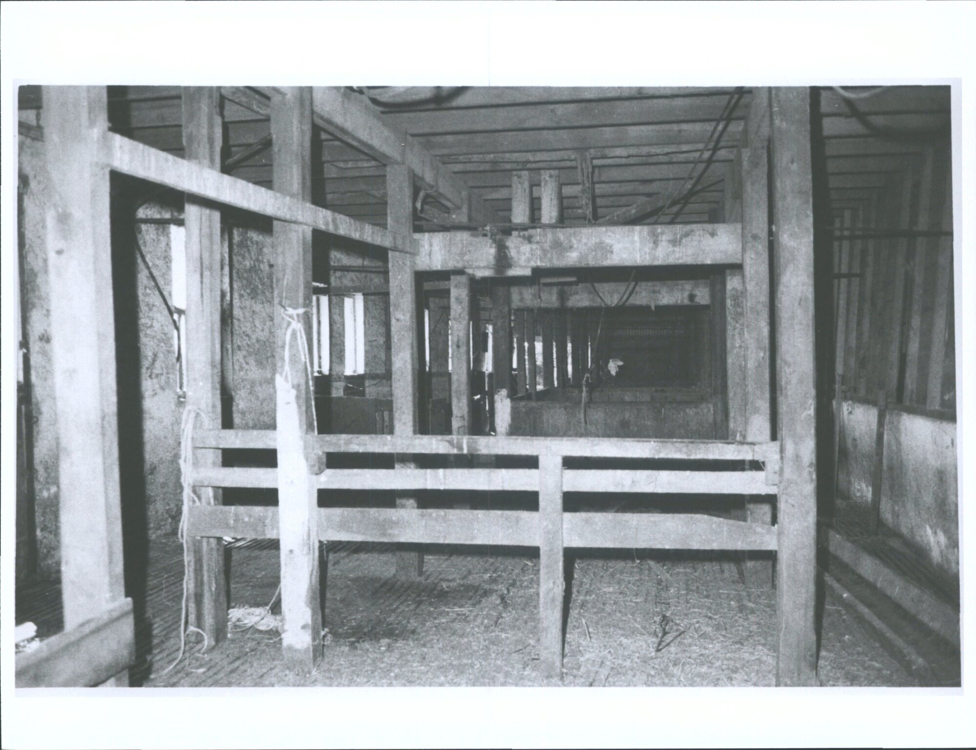 Berkeley Farm, Henley