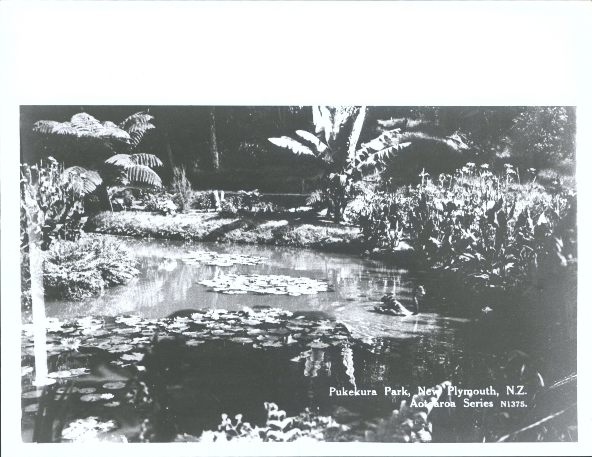 Pukekura Park, New Plymouth, N.Z.