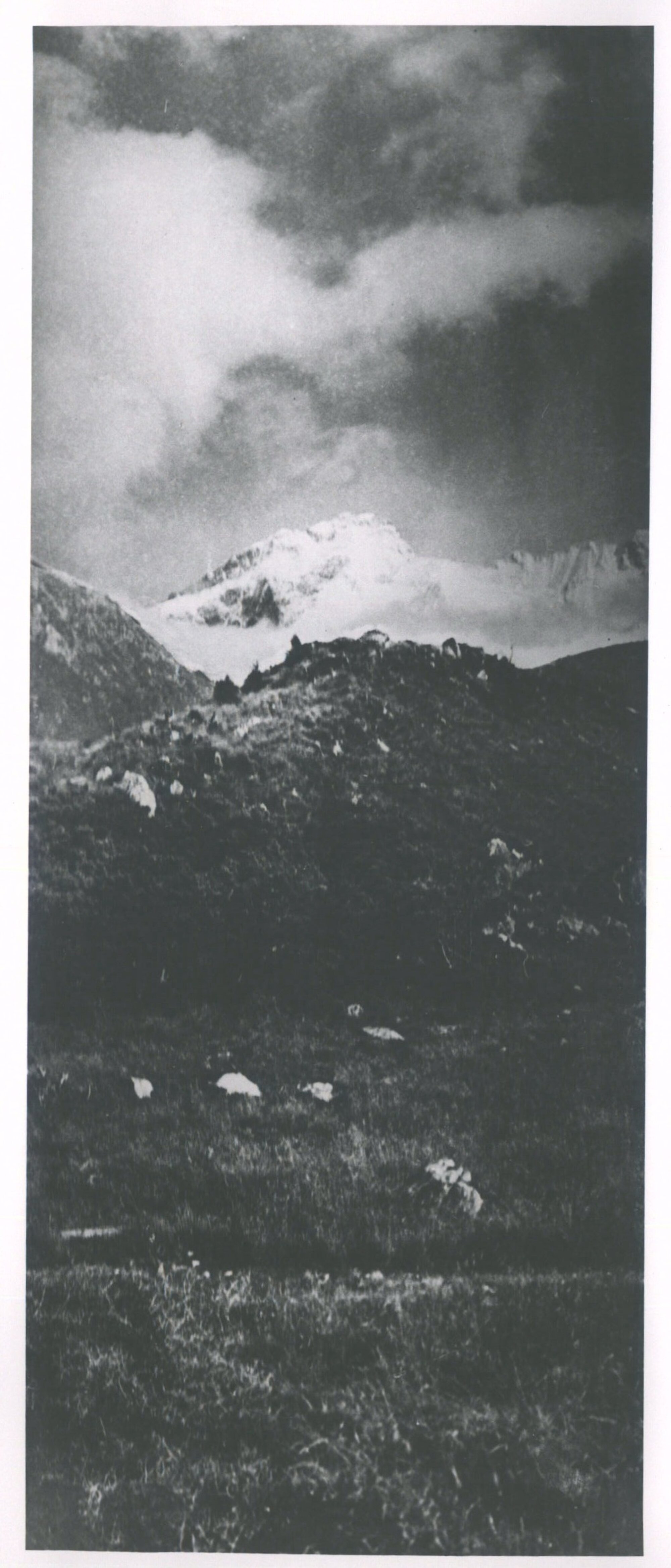 Sefton from the Hooker Valley