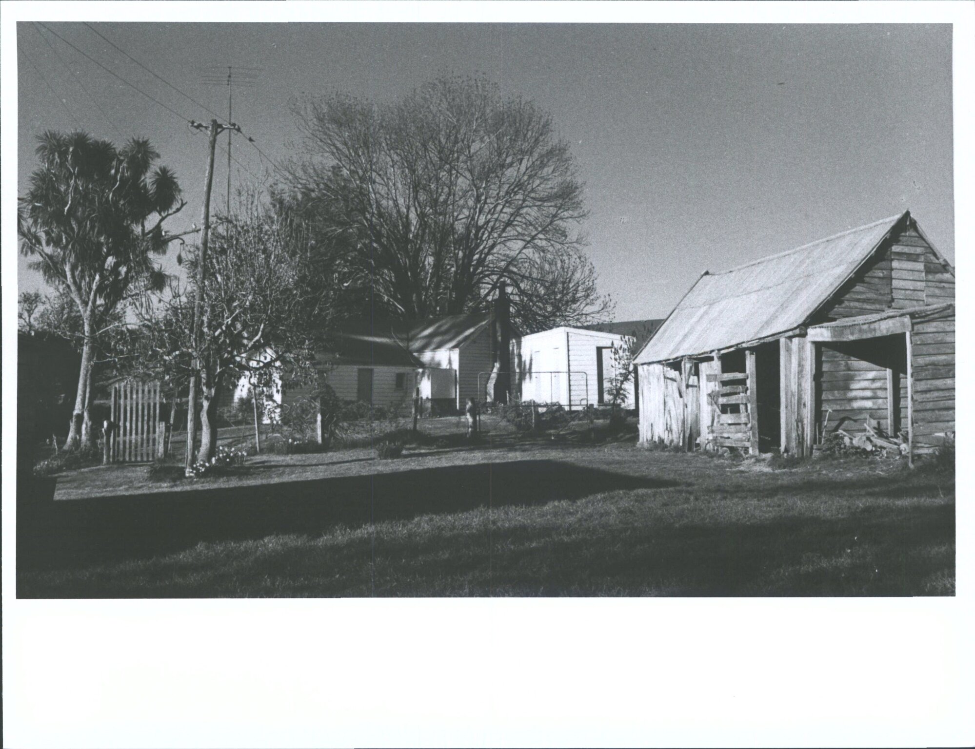 McGregor's "Birkenshaw", Milburn, Otago