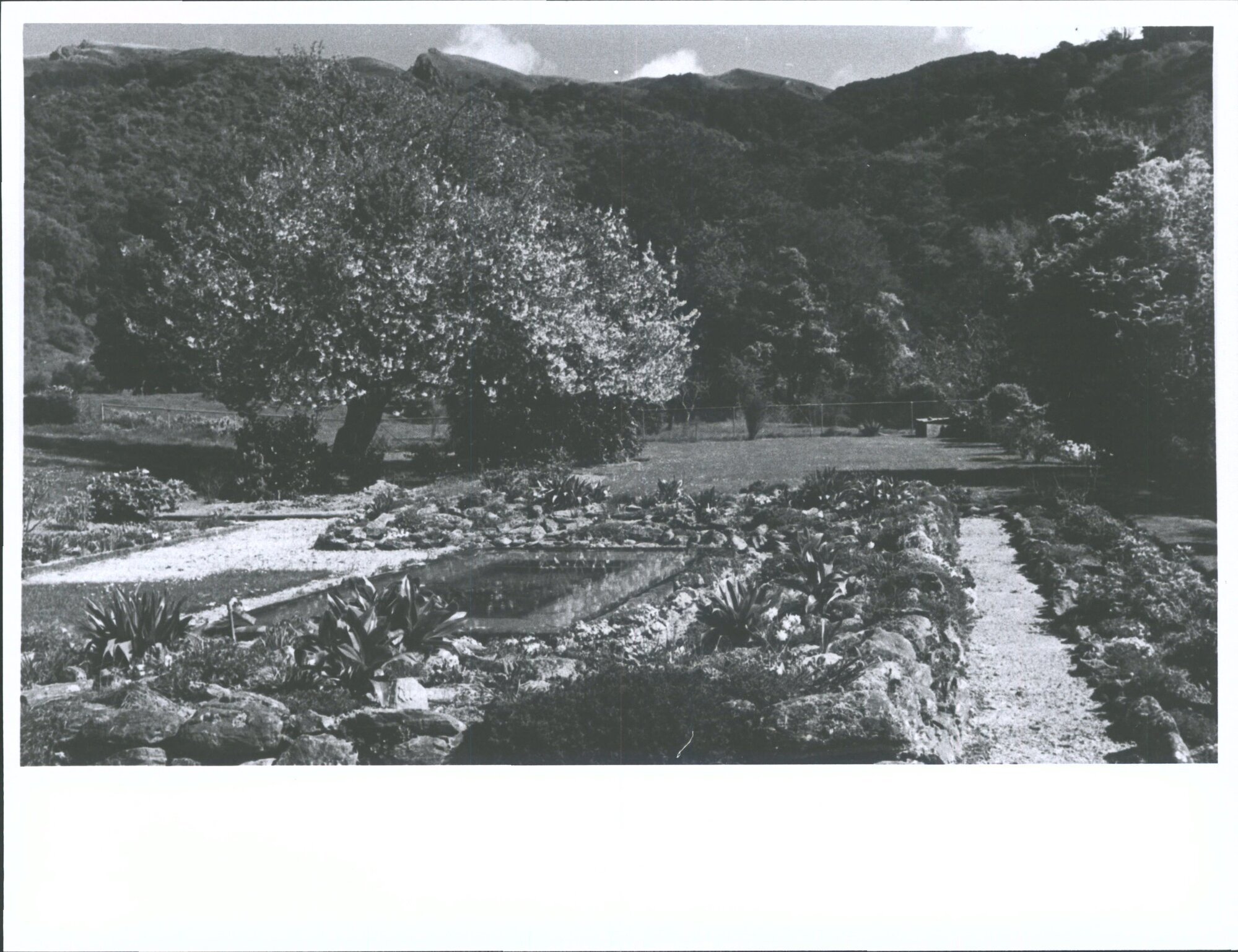 "Kelvin Grove", Woodside