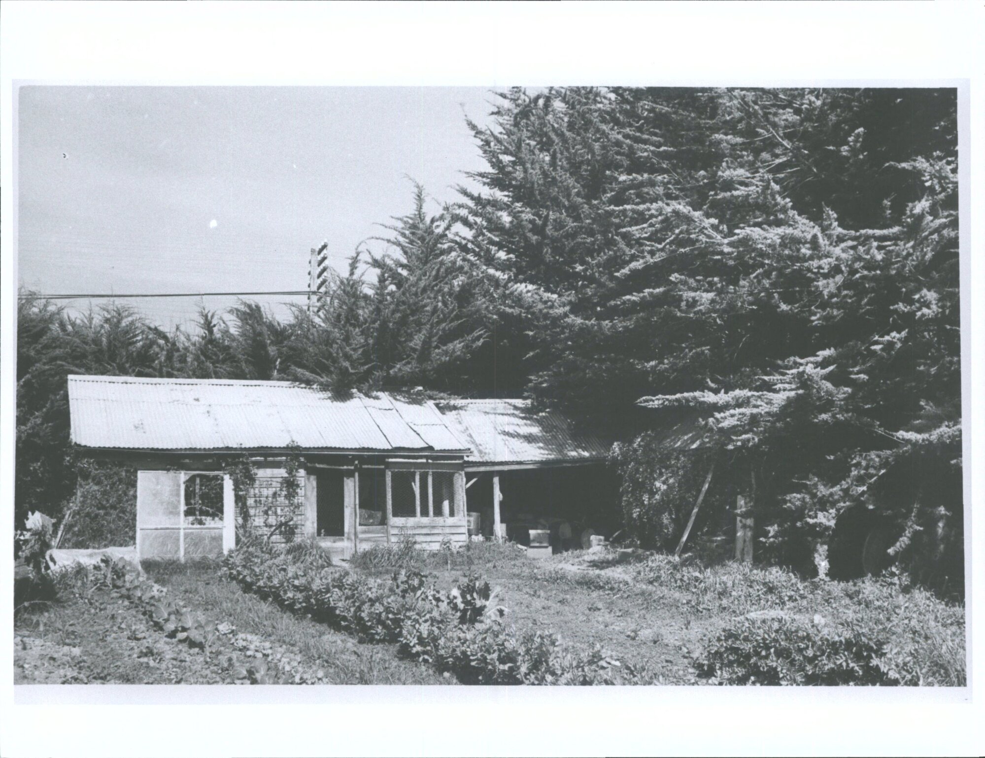 "Dunrobin", Main South Road, East Taieri