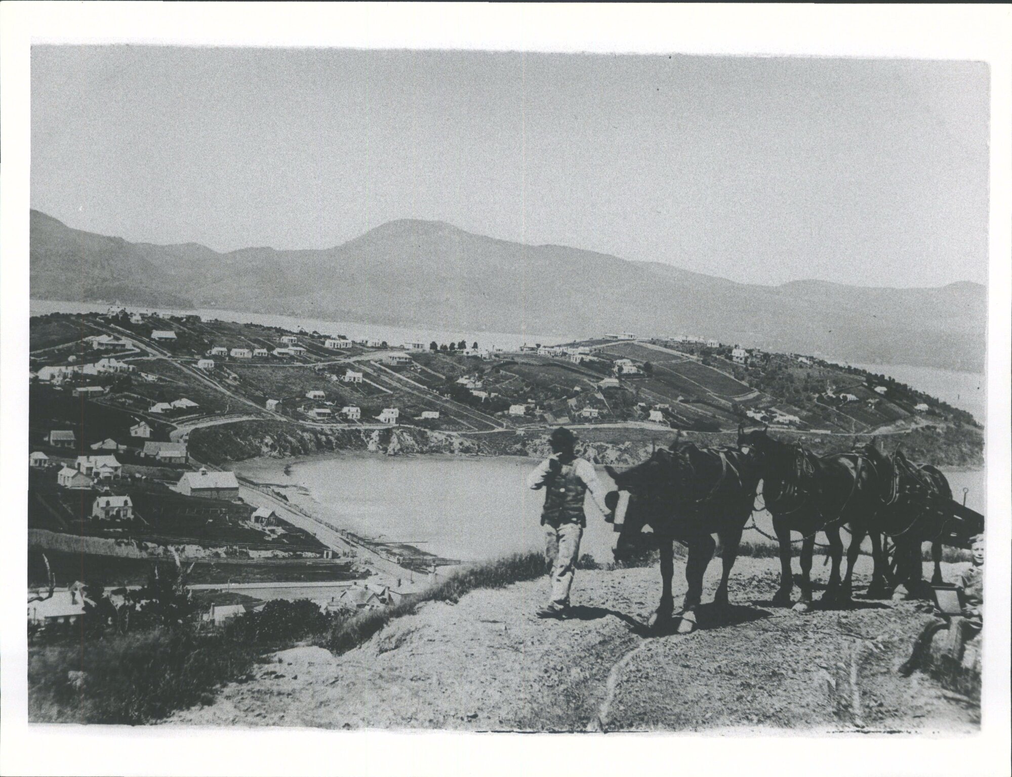 J Stumbles with horse team transporting rails for construction of Dunedin-Moeraki railway