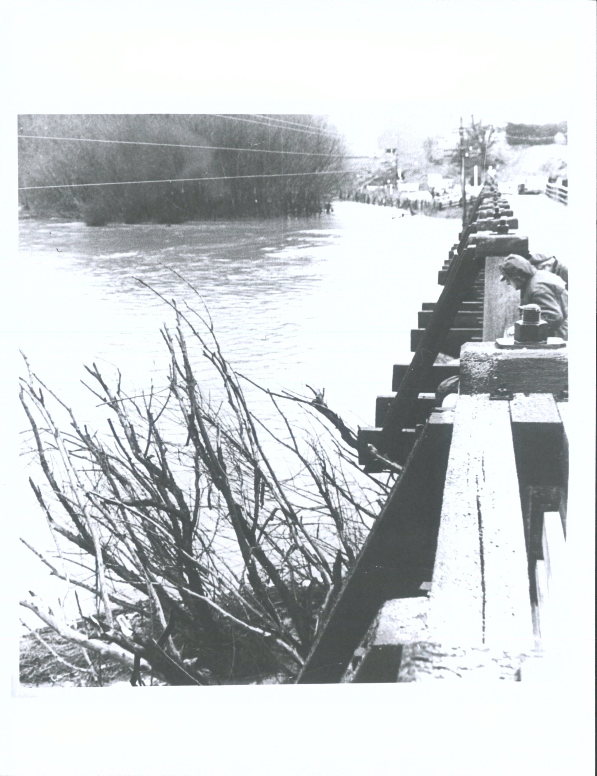 Allanton Bridge during Taieri Flood