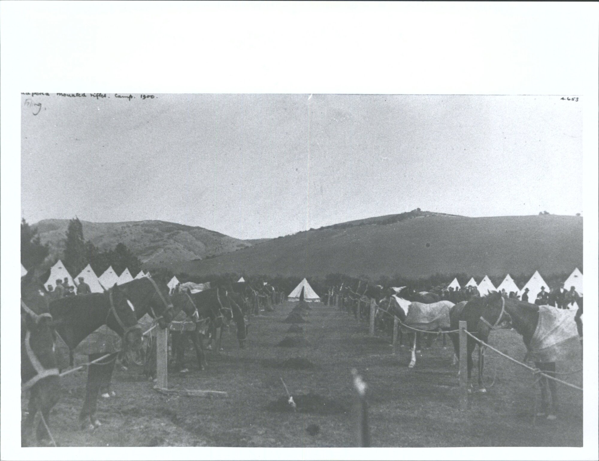 Tuapeka Mounted Rifles, Camp