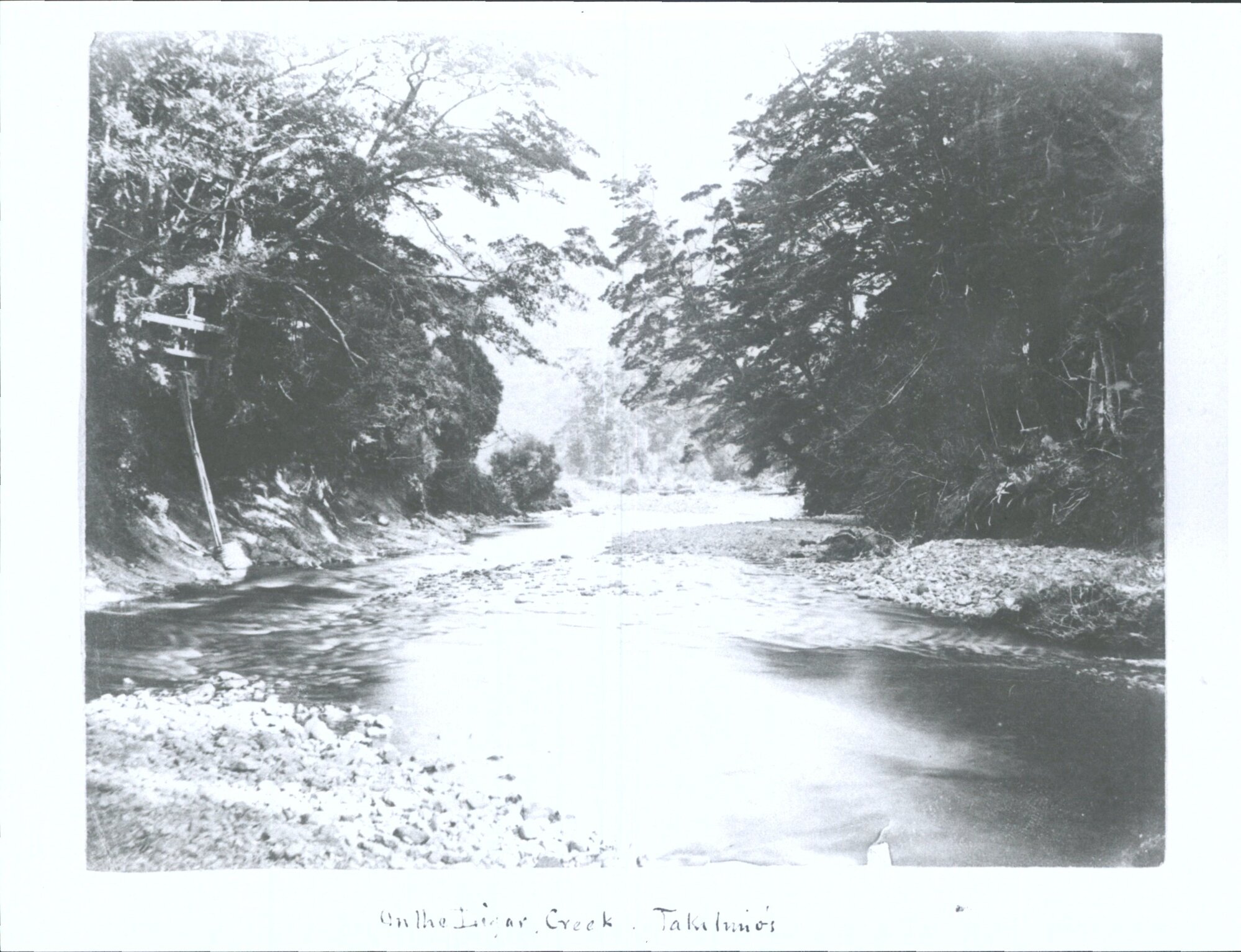 On the Ligar Creek, Takitimus
