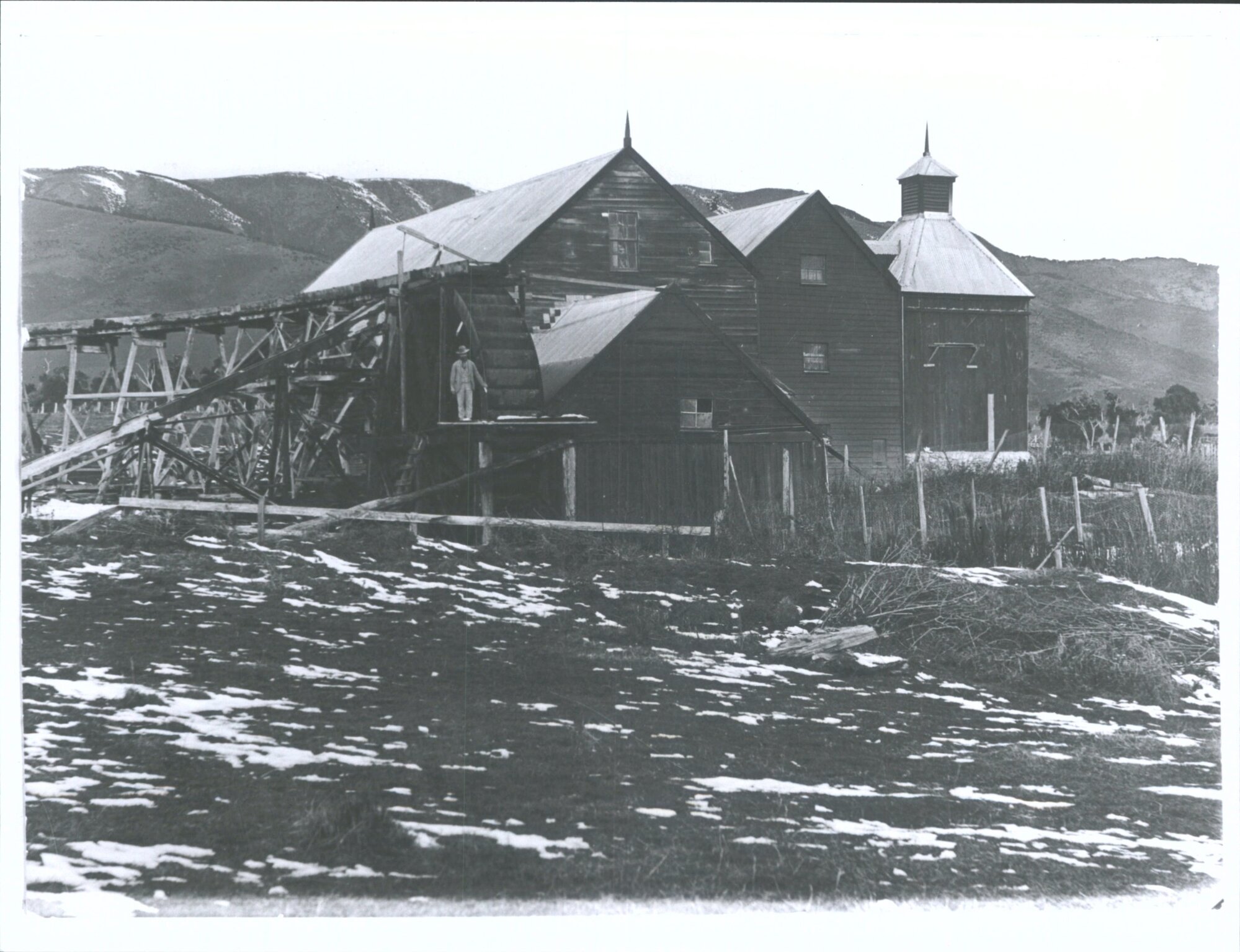 Tapanui Flour Mill, Blue Mountains in background