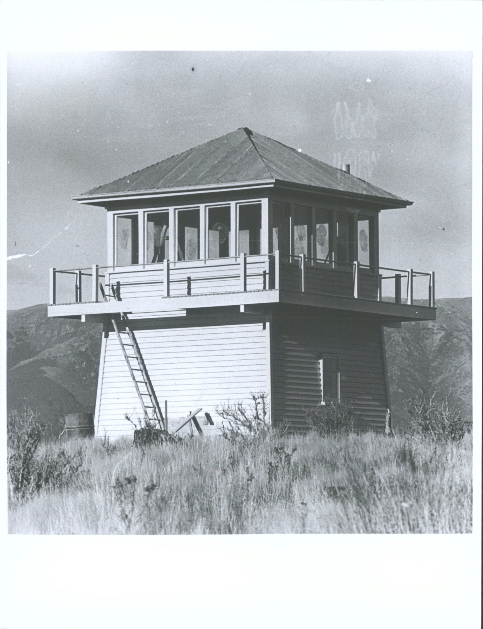 The fire lookout on wooded hill between Tapanui and Dusty