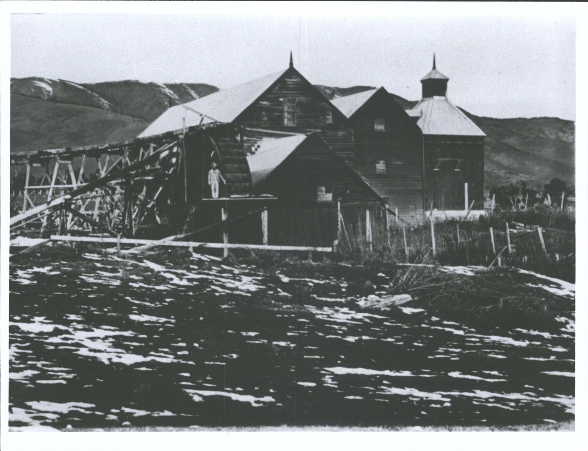 Tapanui Flour Mill, Blue Mountains in background