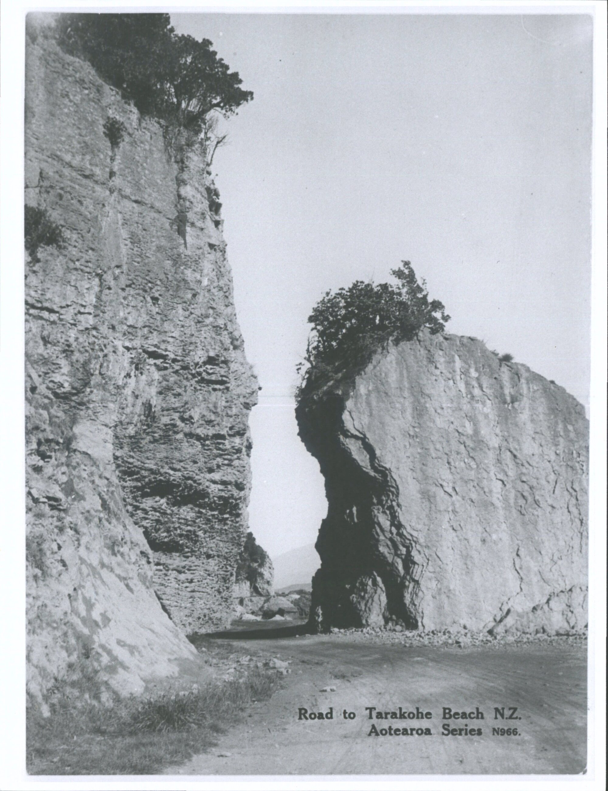 Road to Tarakohe Beach, N.Z.
