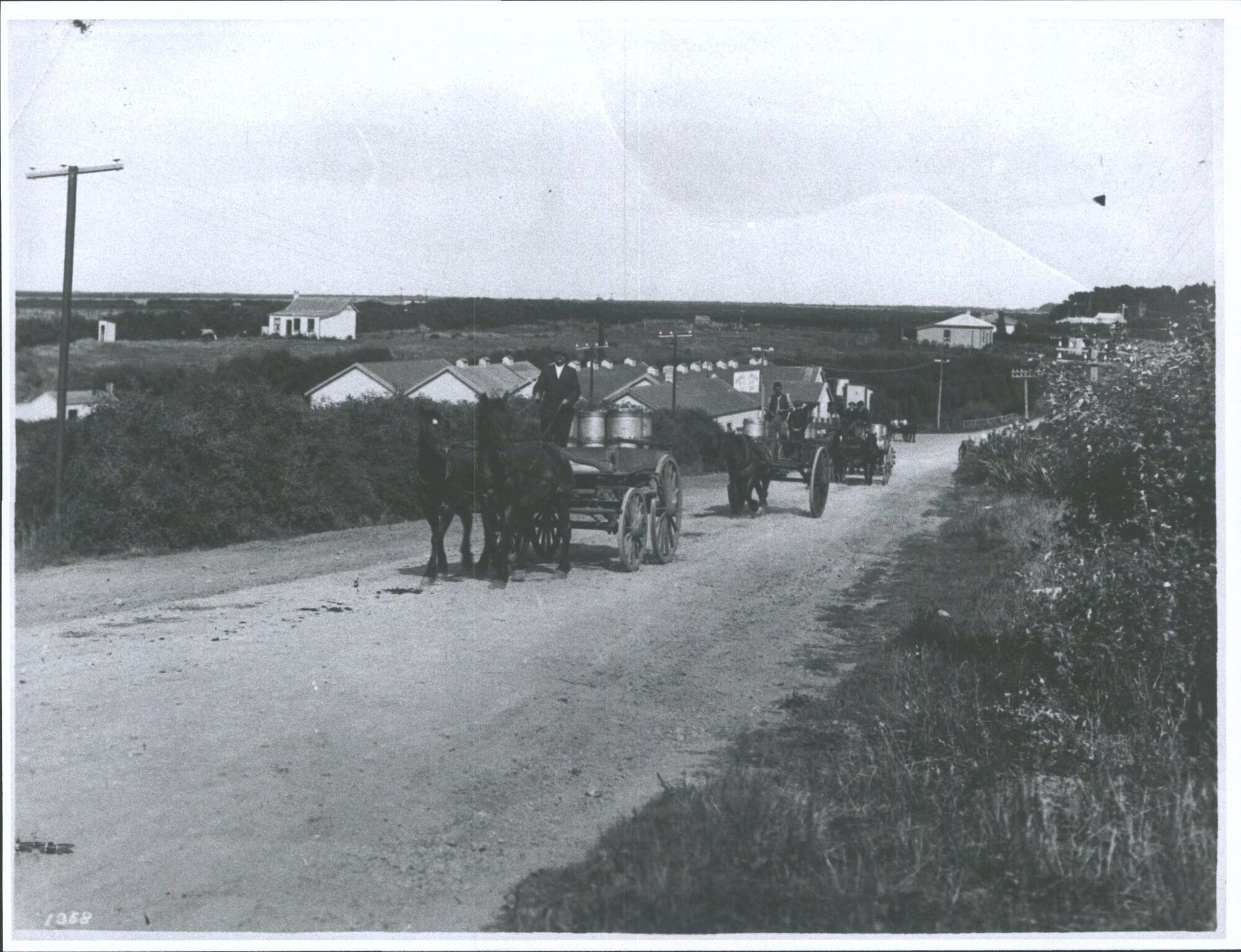 Farmers returning from dairy factory