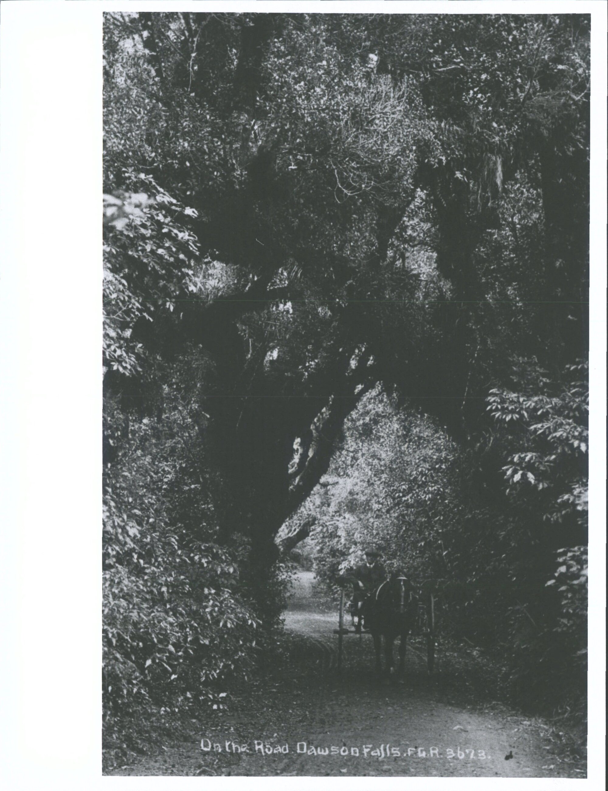 On the Road, Dawson Falls