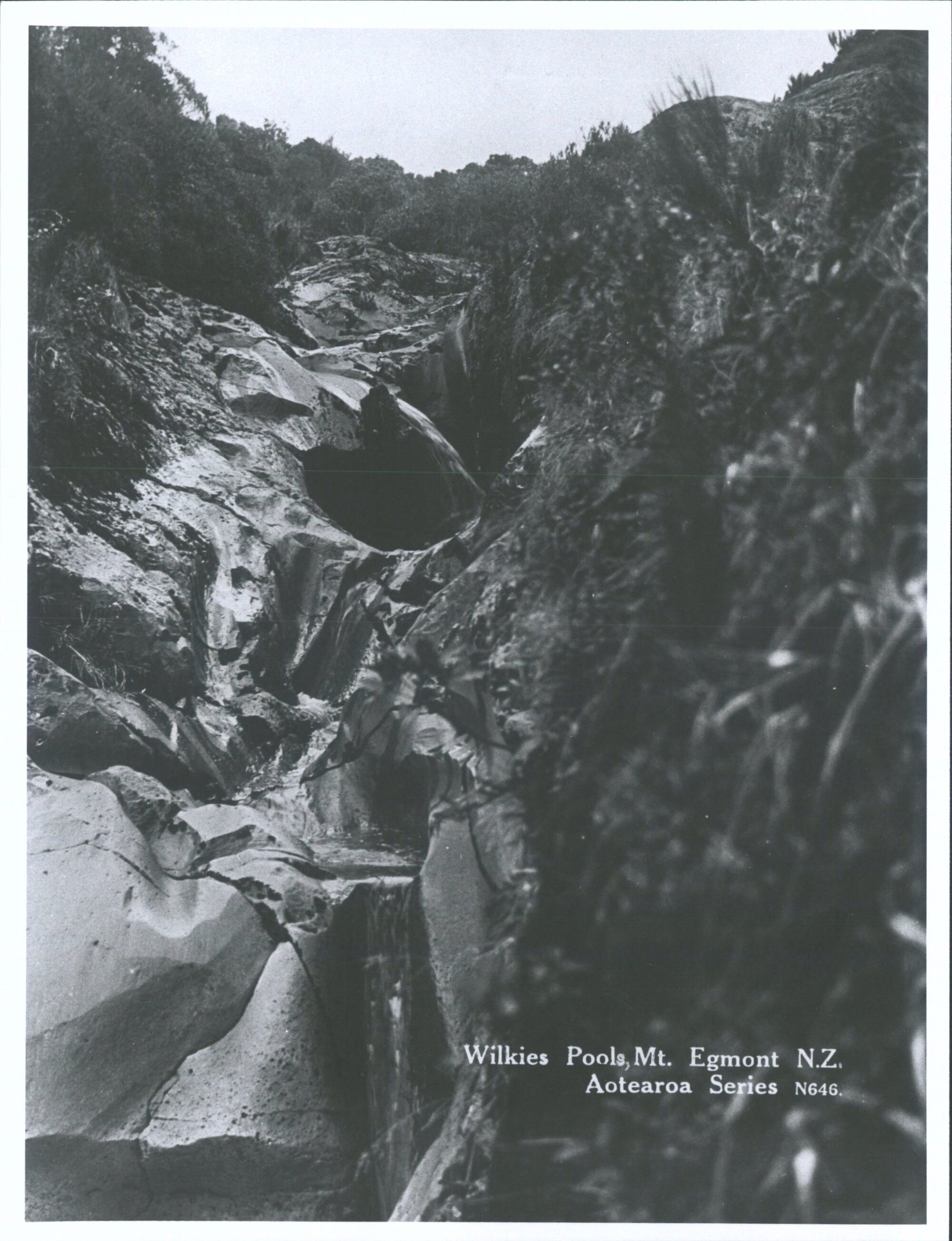 Wilkies Pools, Mt. Egmont, N.Z.