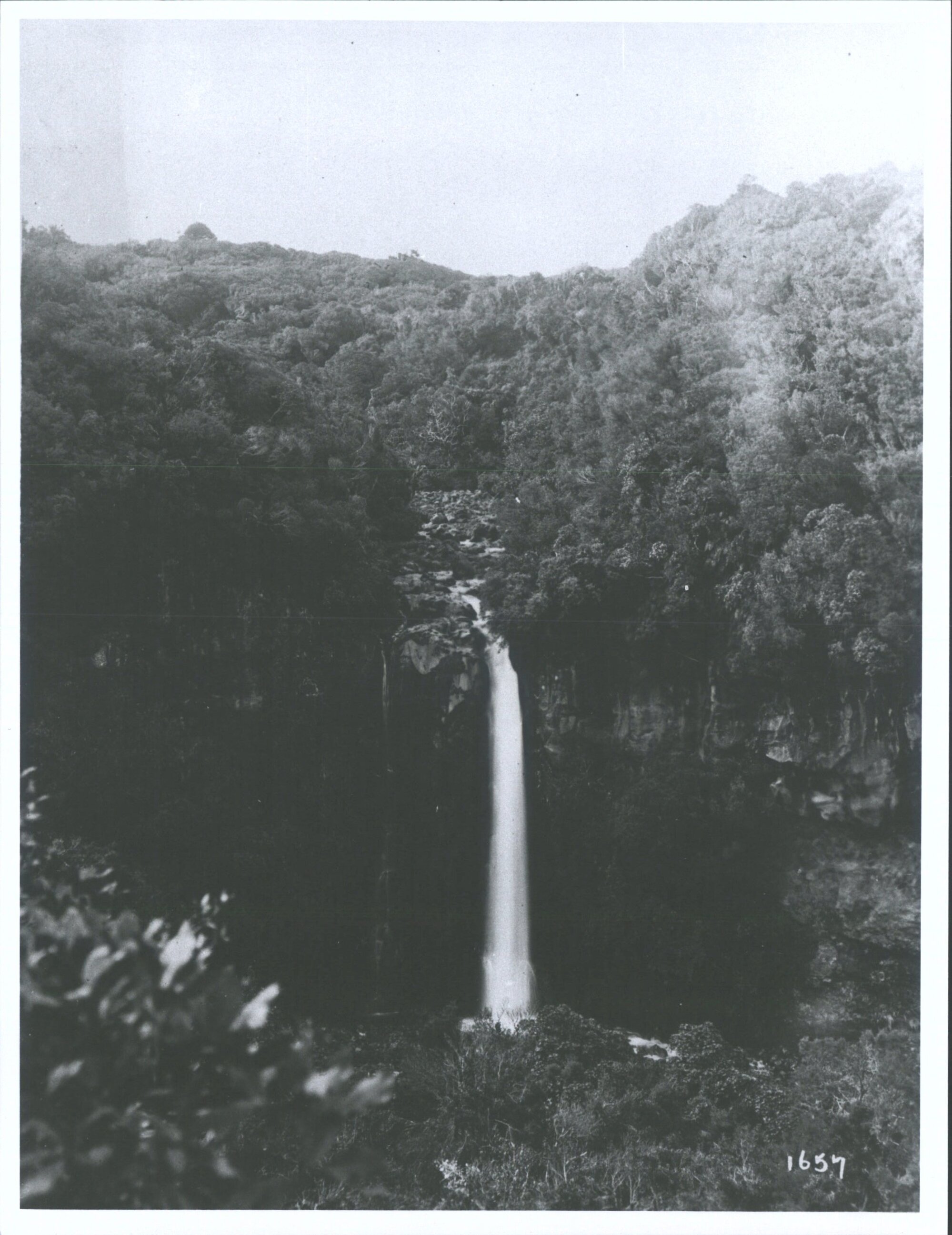 Dawson Falls, Mount Taranaki