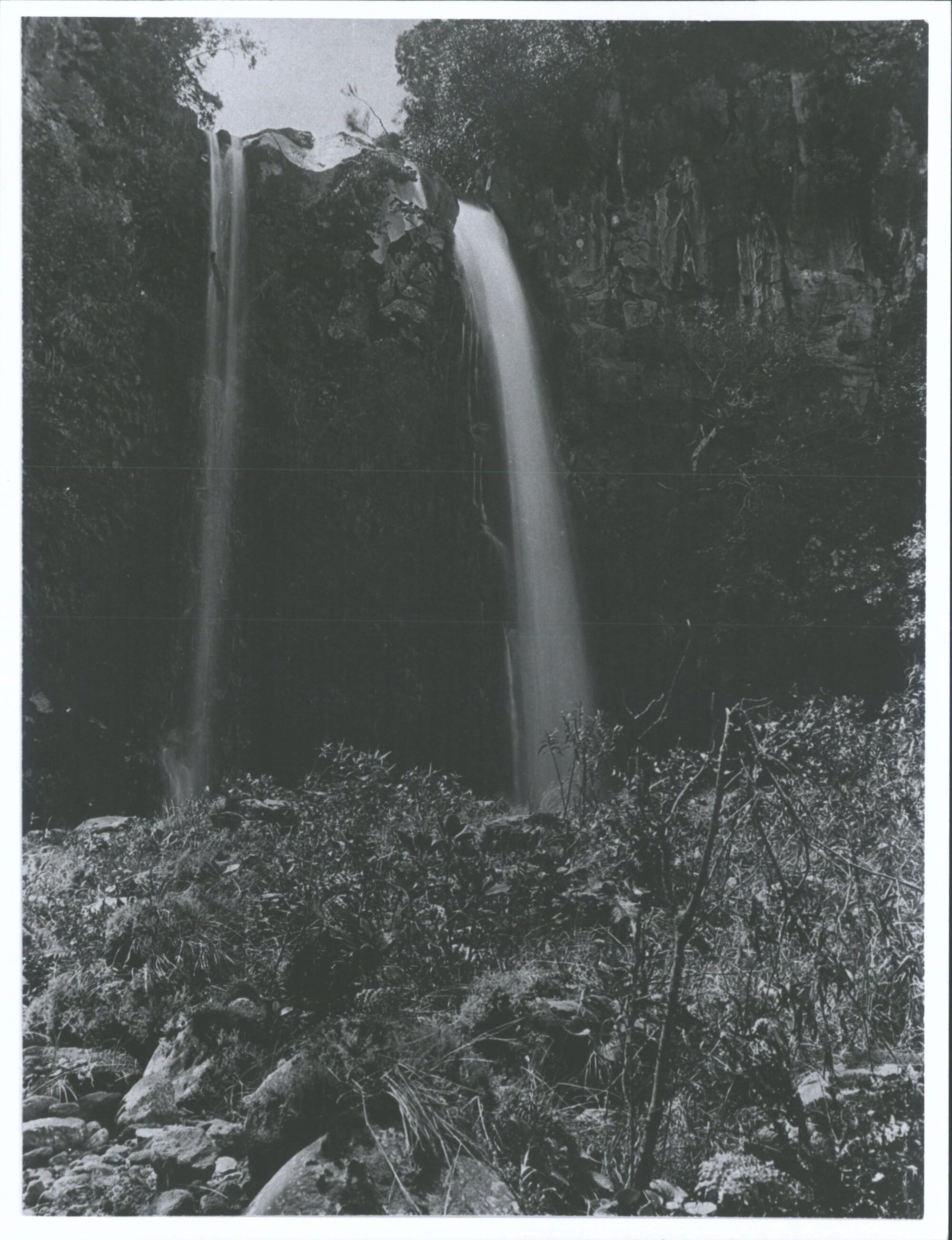 Dawson Falls, Mount Taranaki