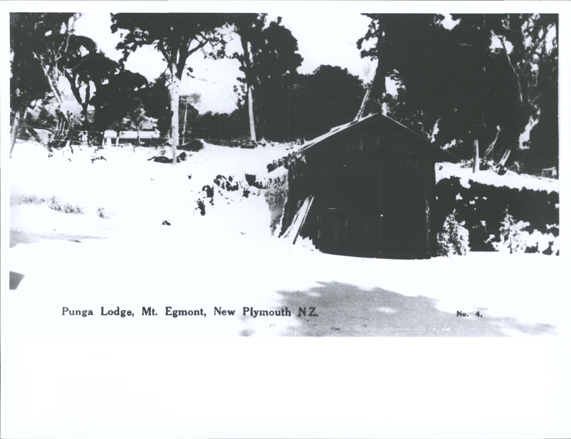 Punga Lodge, Mt. Egmont, New Plymouth, N.Z.