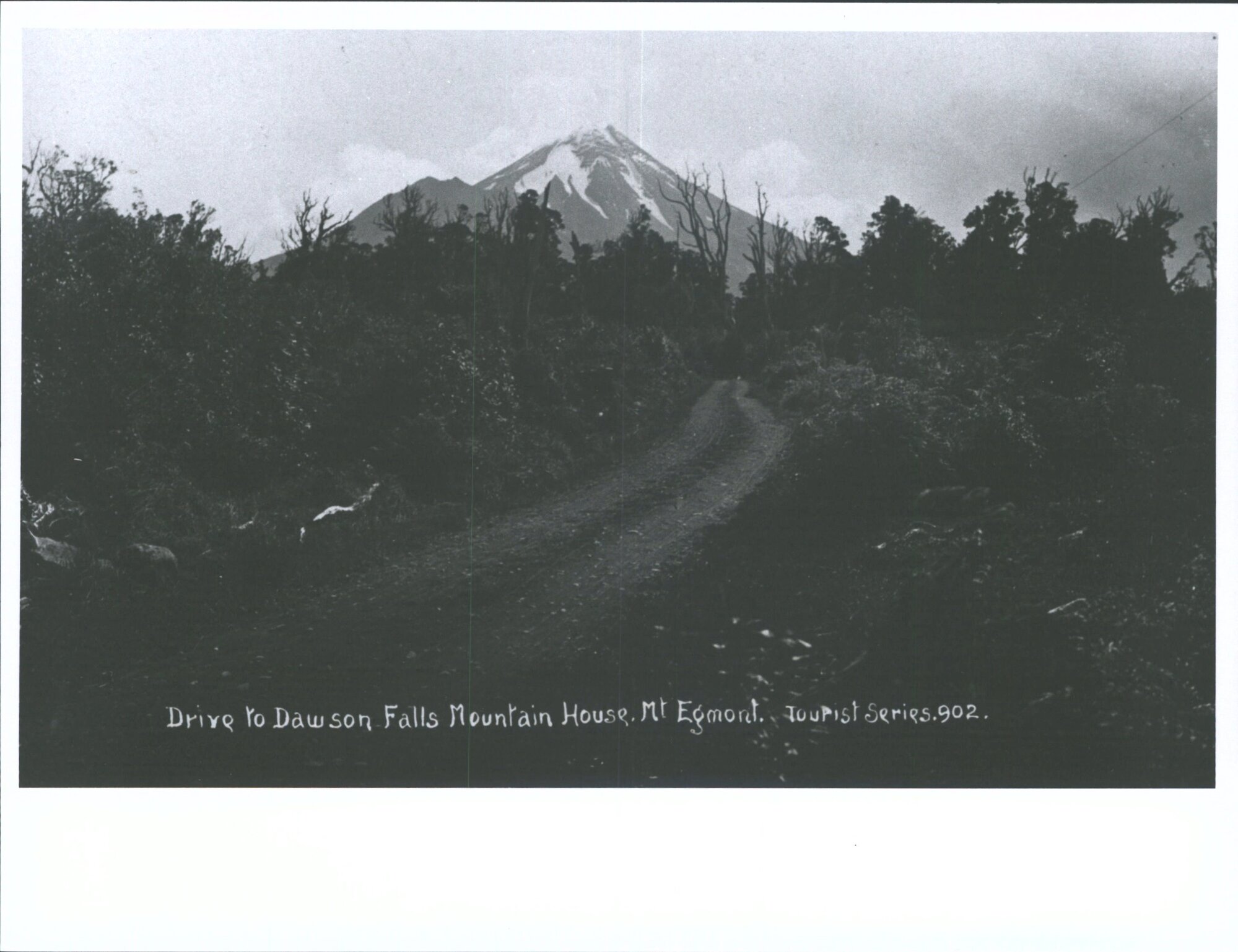 Drive to Dawson Falls Mountain House, Mt. Egmont