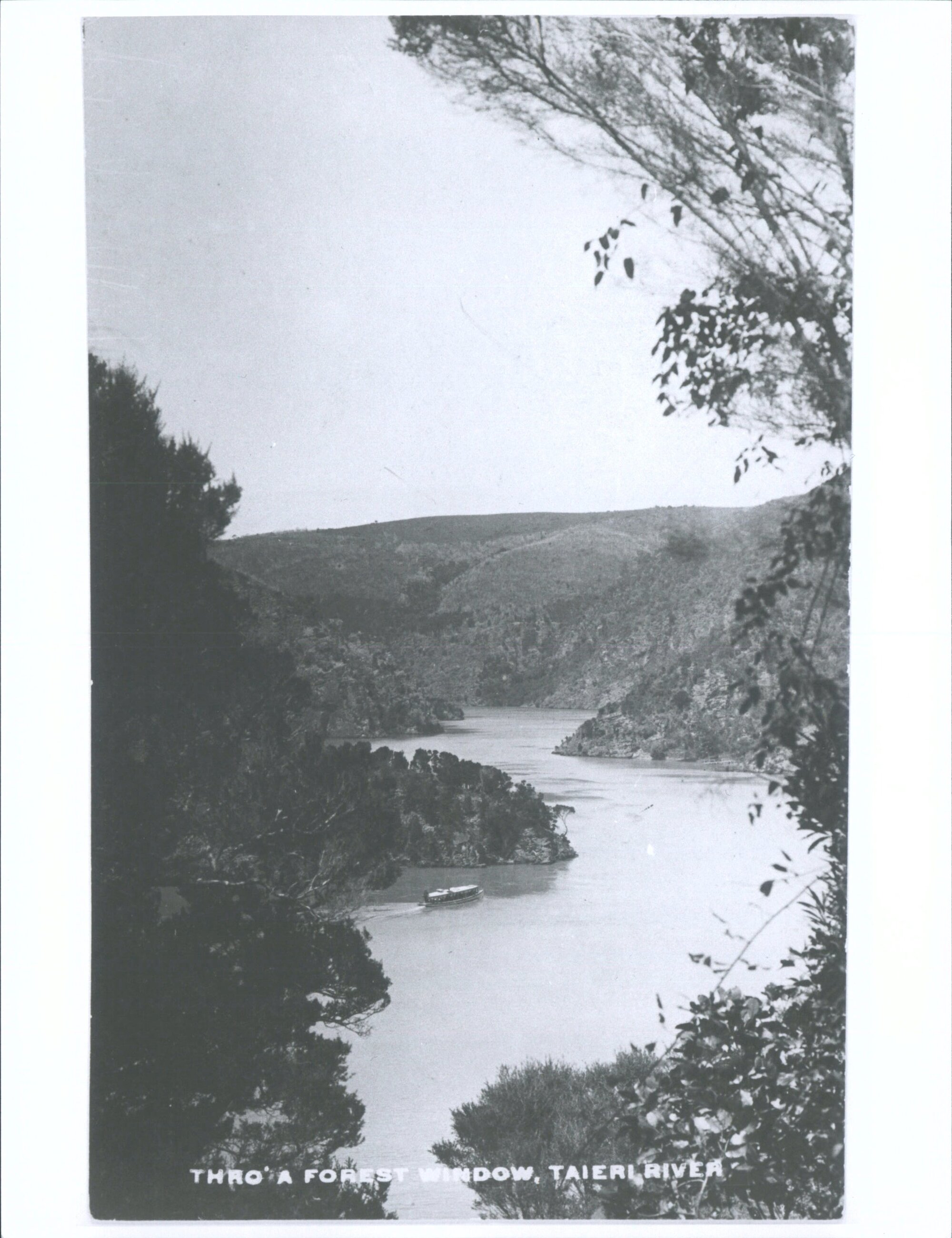 Thro' a Forest Window, Taieri River