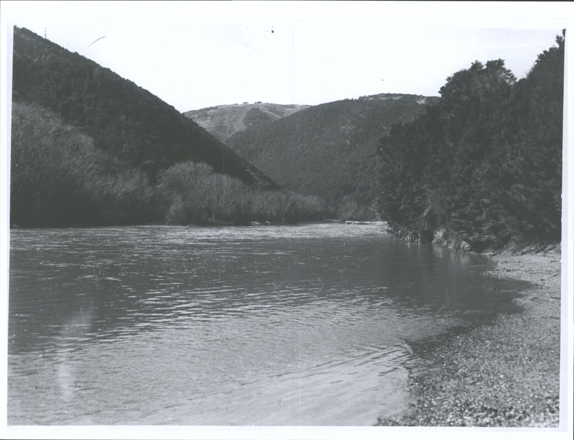 Taieri River