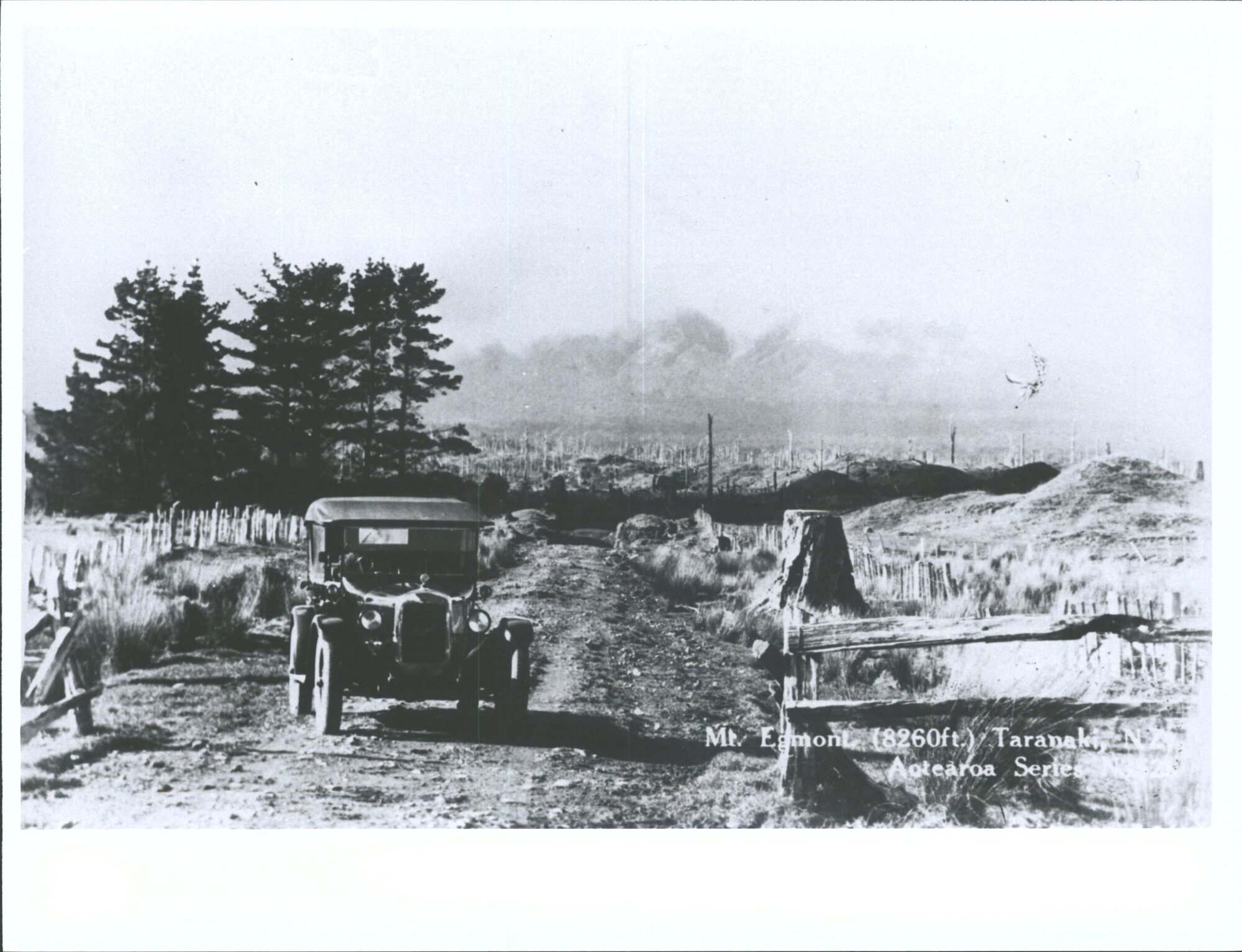 Mt. Egmont (8260ft.), Taranaki, N.Z.